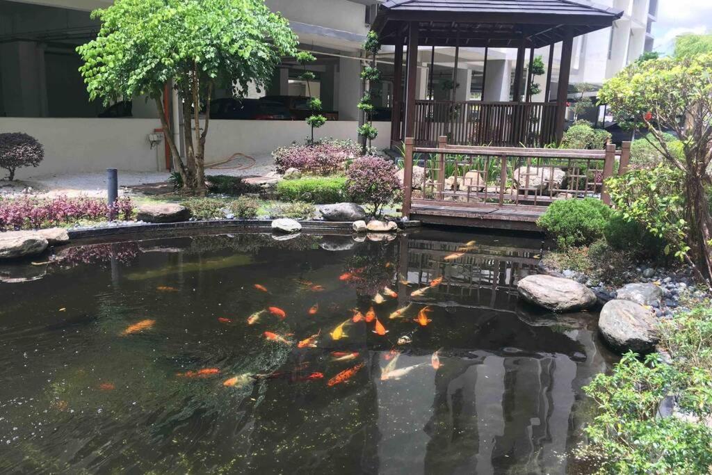 8pax Mount austin Midori Green homestay