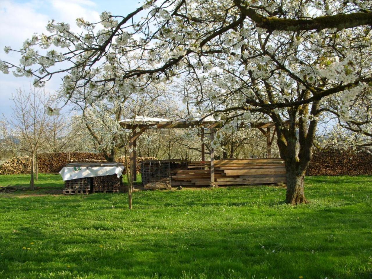 Photo 20