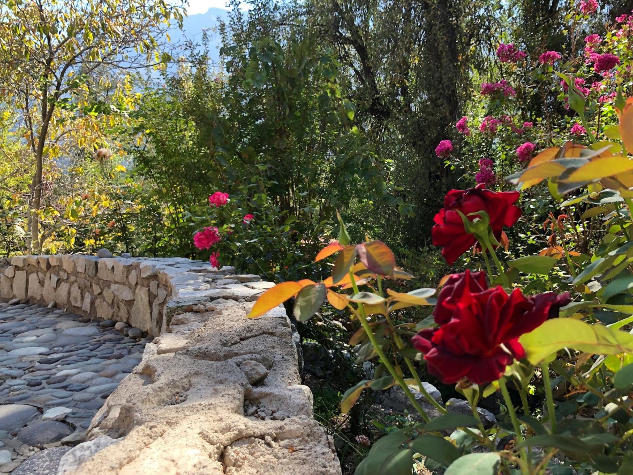 Casa de Montaña inmersa en Bosque Nativo