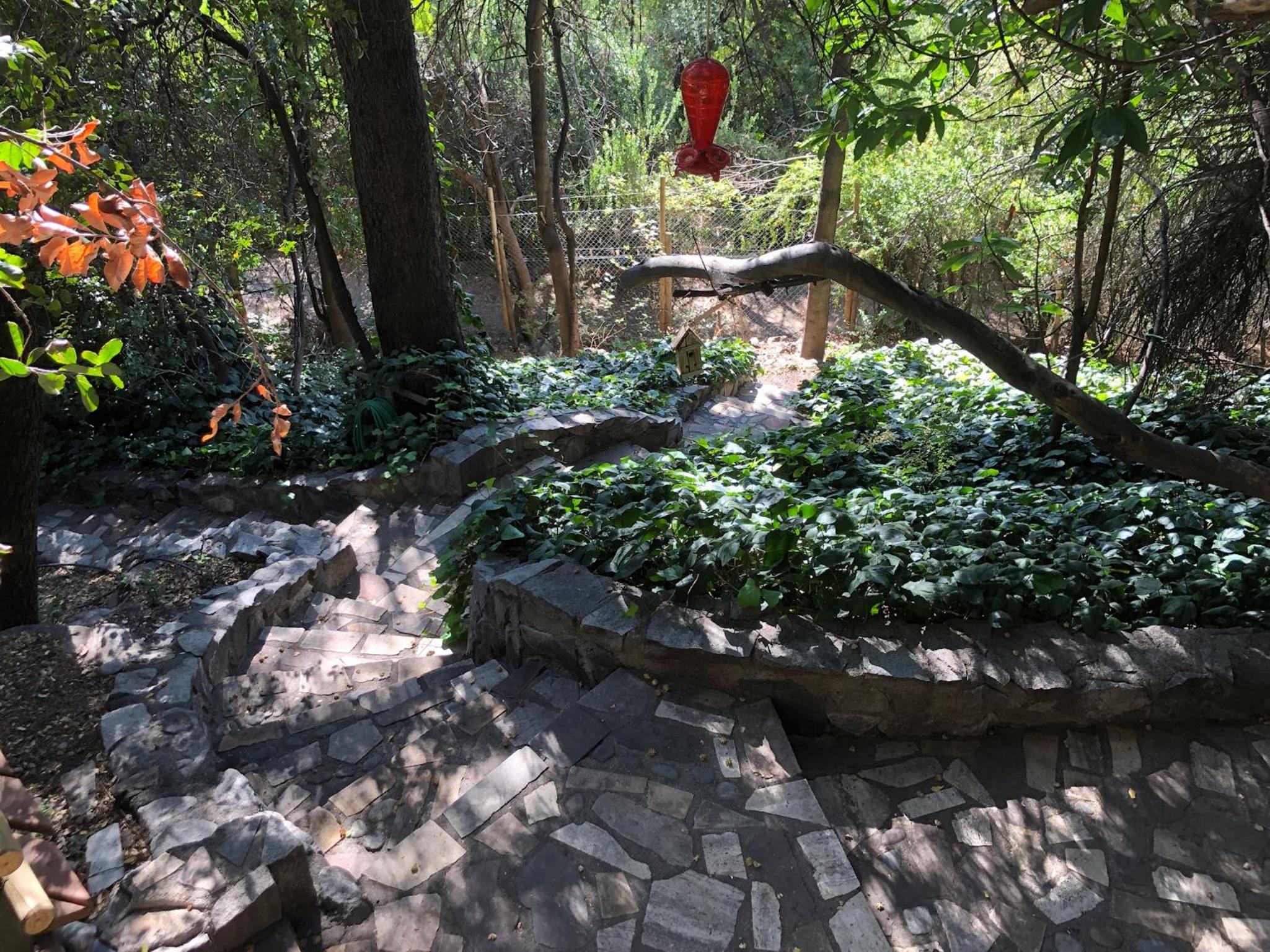 Casa de Montaña inmersa en Bosque Nativo