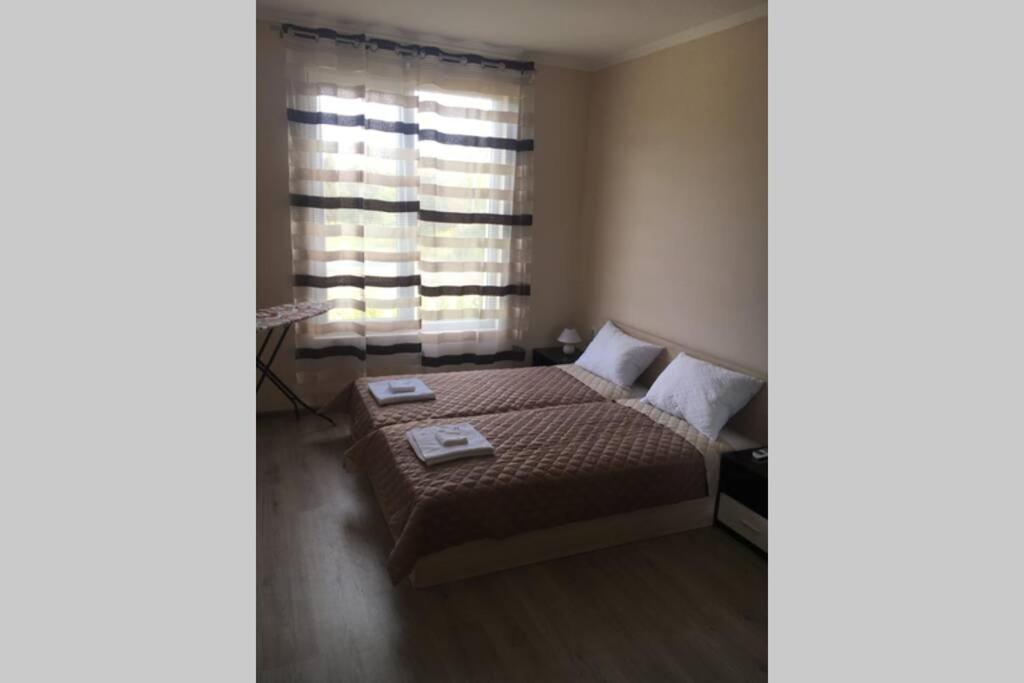 VIP VISION - 214 entire flat 2 beds two baths view 5