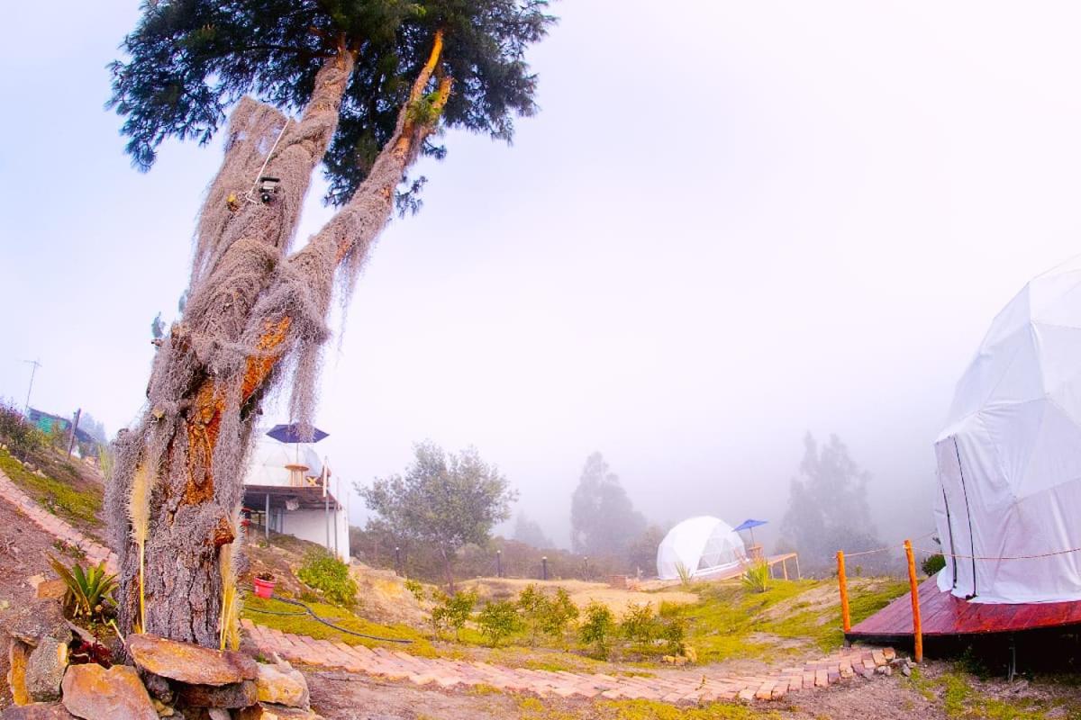 Glamping Bella Vista view 4
