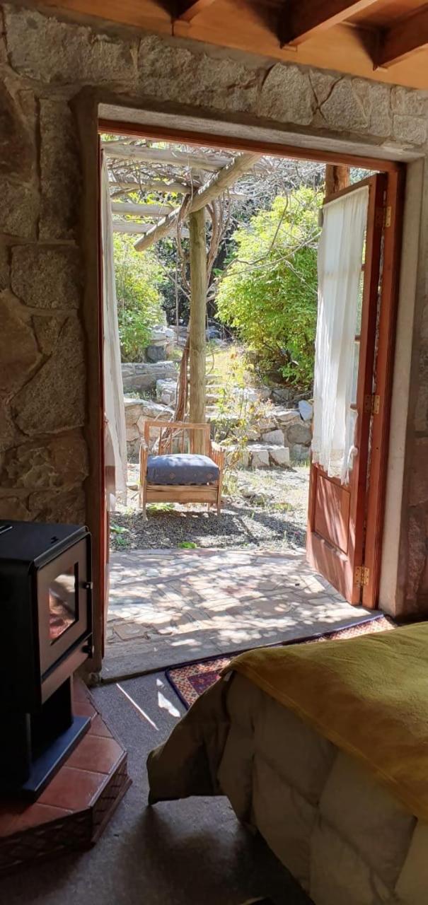 Casa de Montaña inmersa en Bosque Nativo