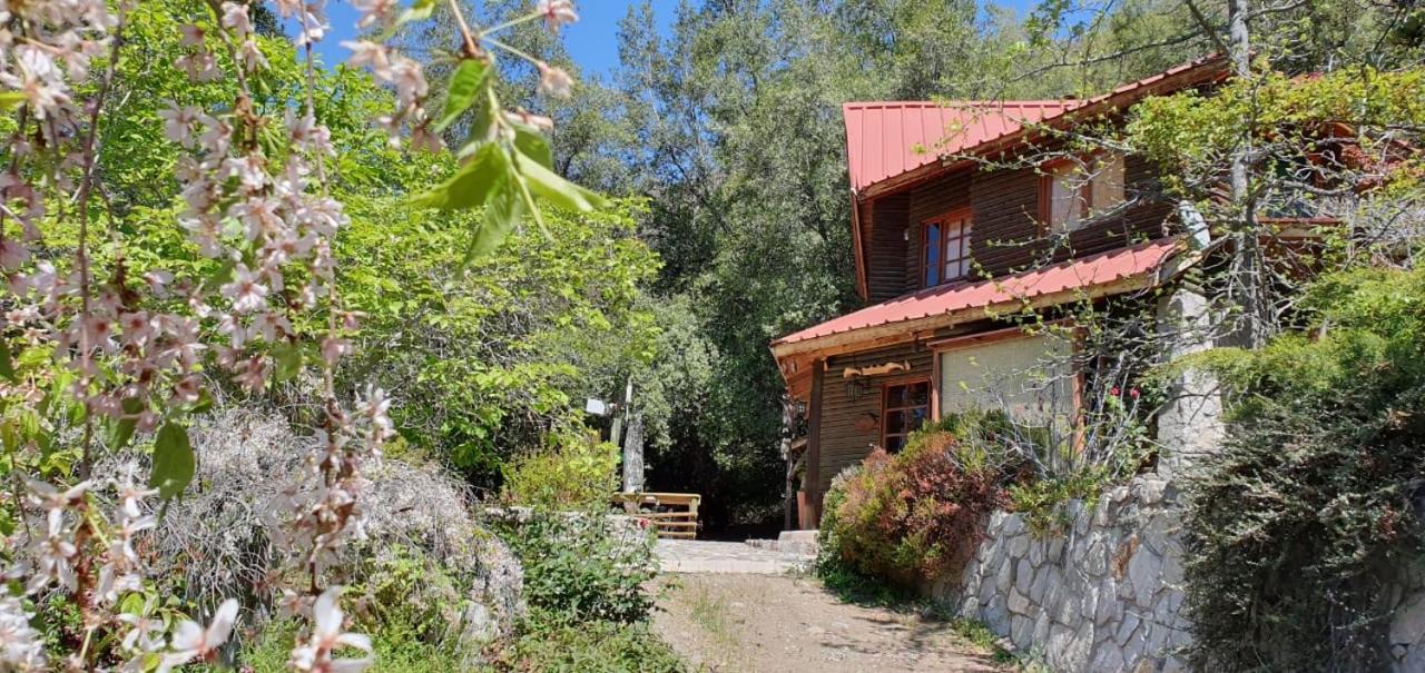 Casa de Montaña inmersa en Bosque Nativo