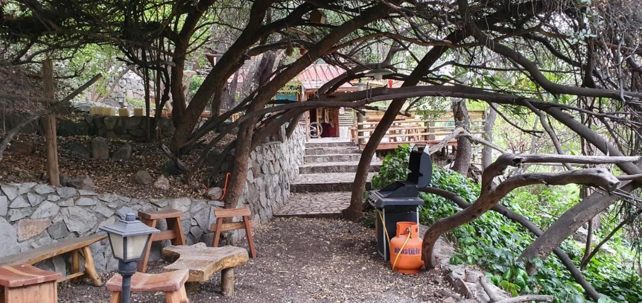 Casa de Montaña inmersa en Bosque Nativo