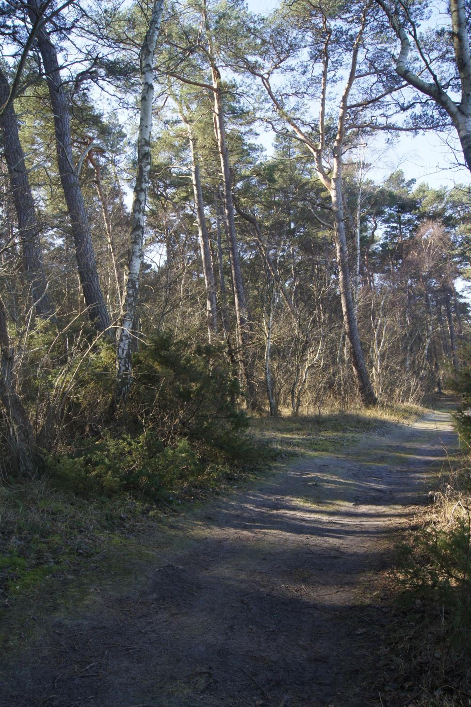 Photo 27