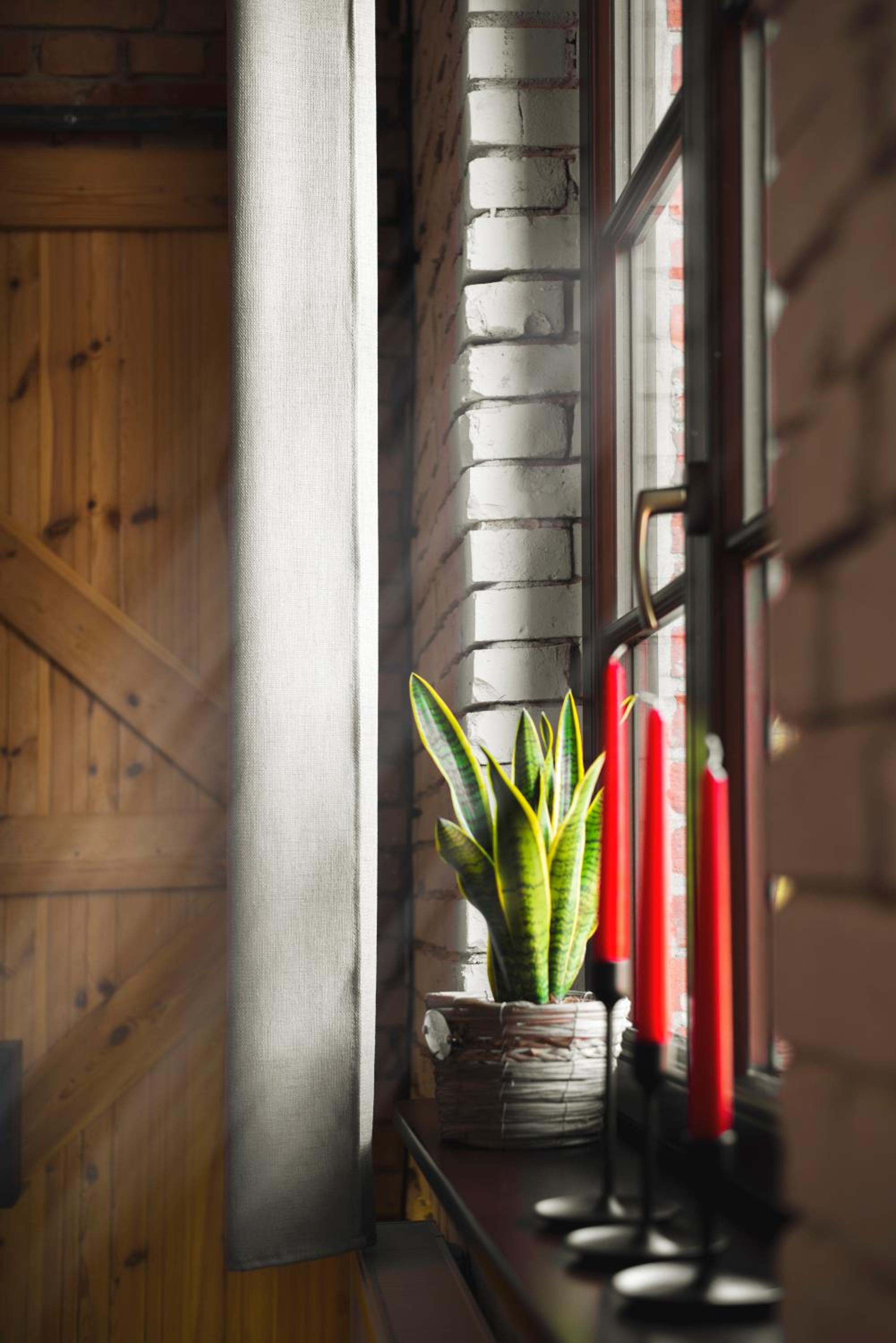 LOFT apartment 200m to Old Town wi-fi/netflix view 5