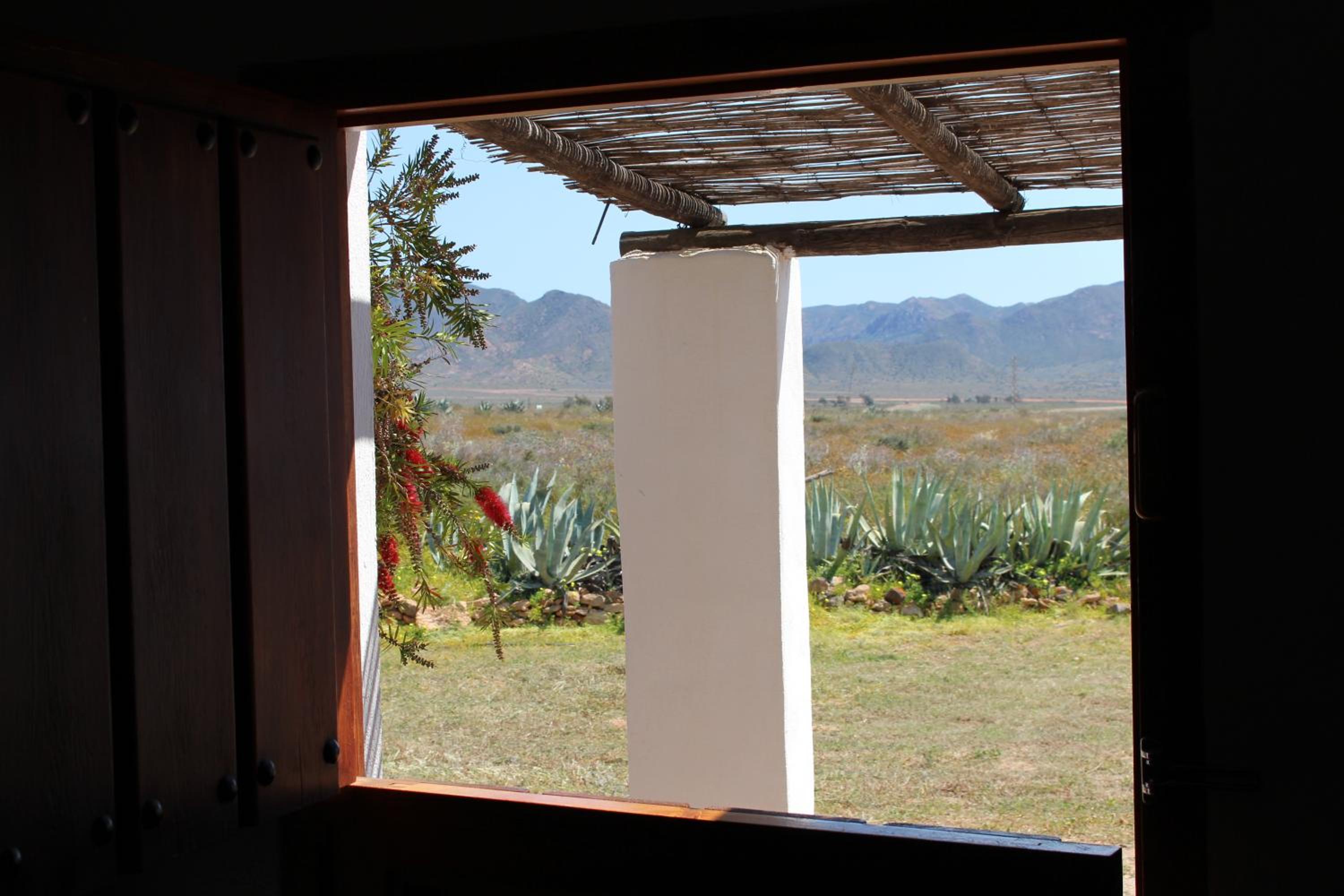 Cortijo La Molina de Cabo de Gata - Property Image 23