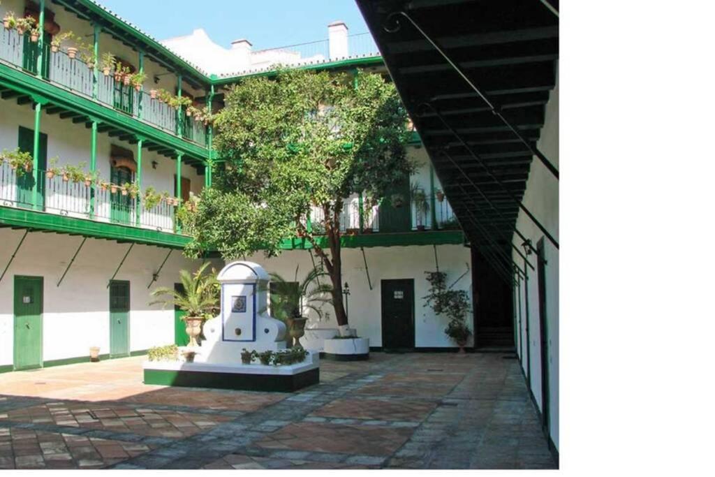 Alcázares Sevilla centro
