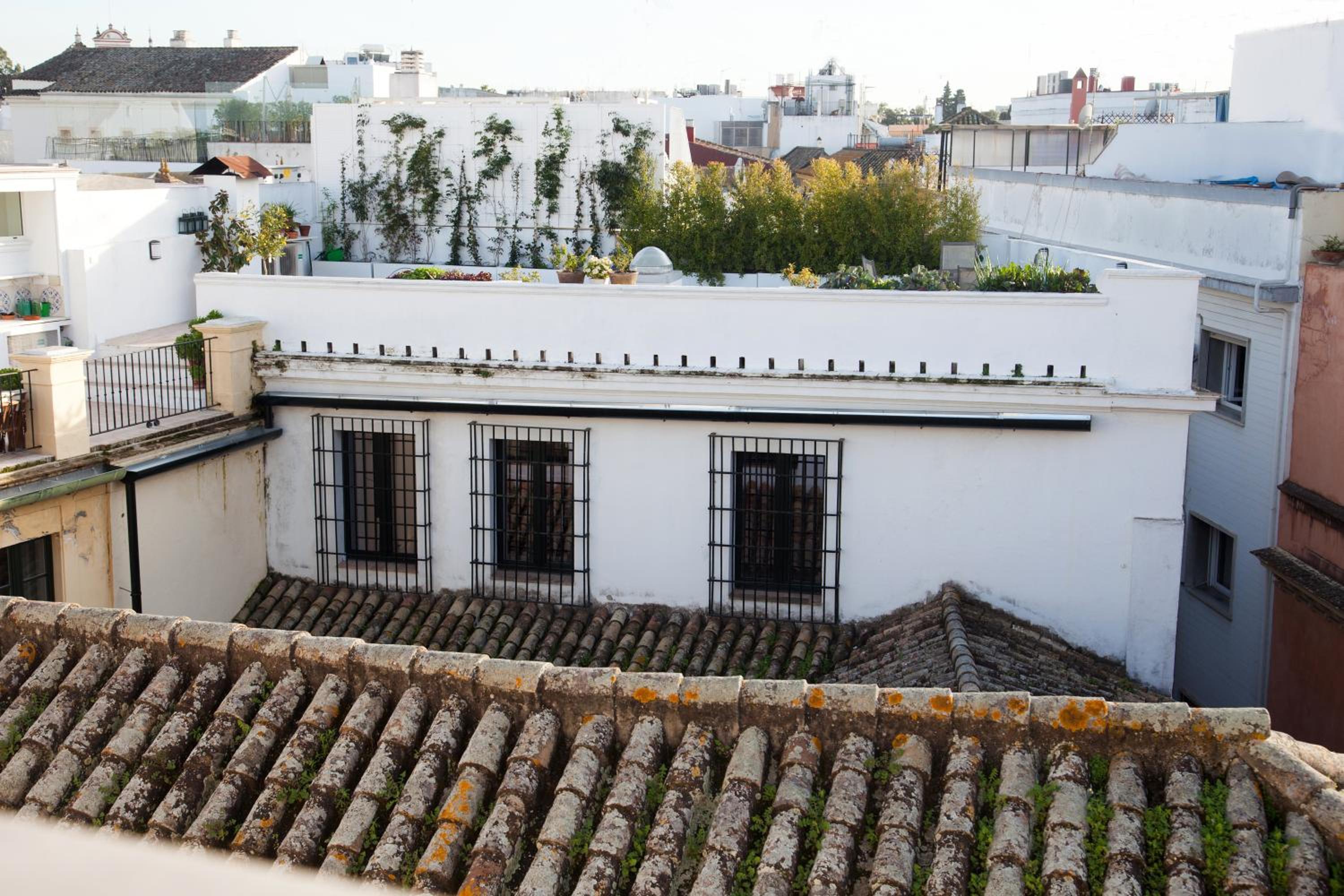 roof