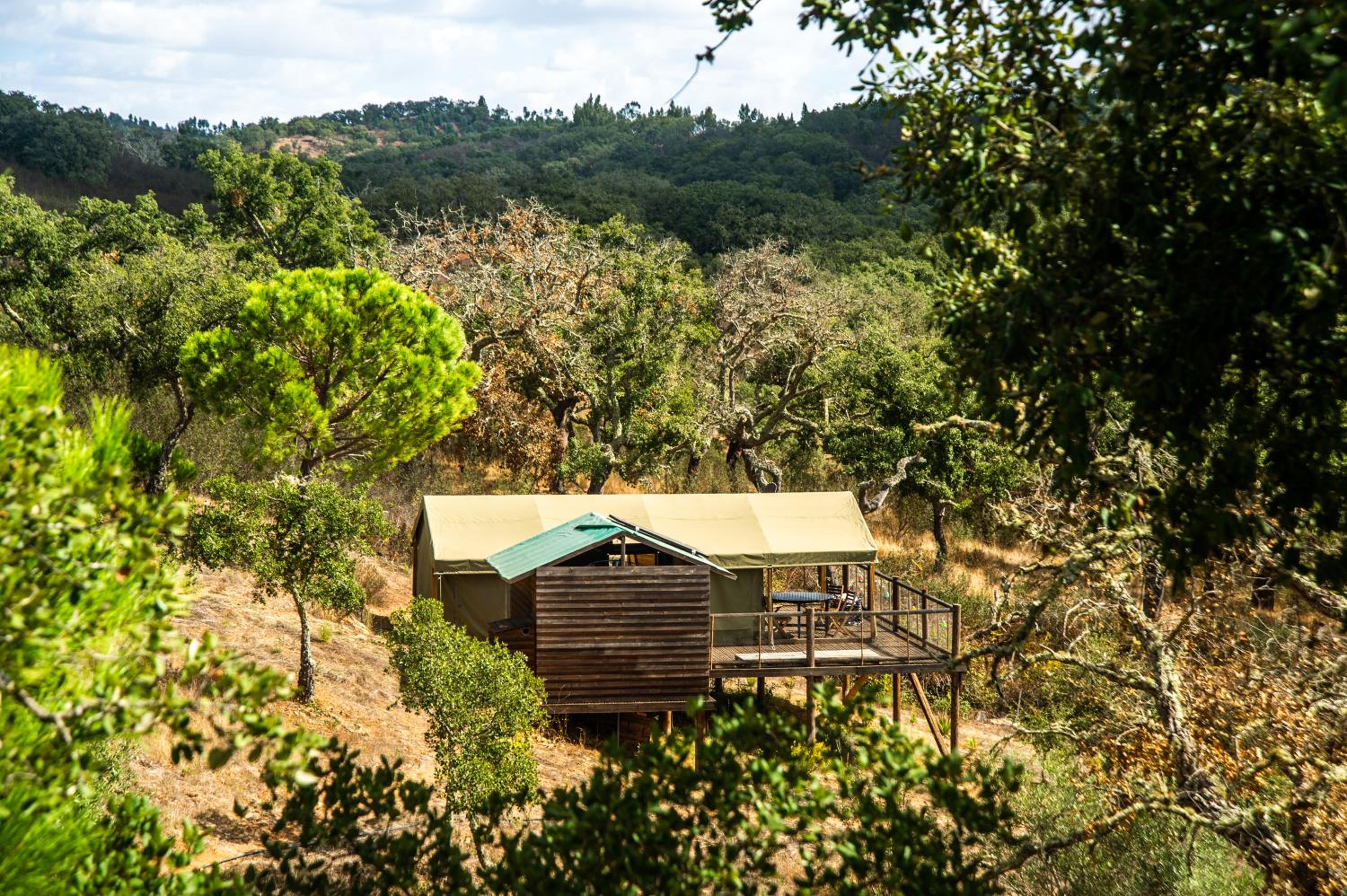 Figueirinha Ecoturismo