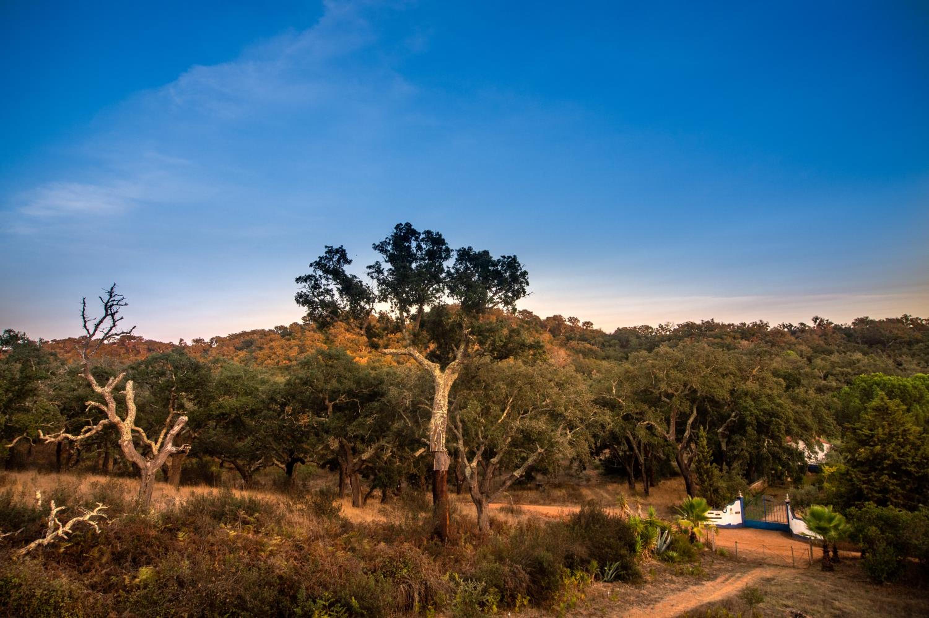 Figueirinha Ecoturismo