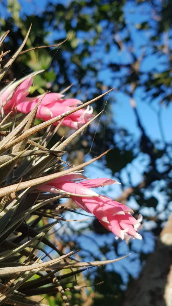 Hospedaje San Cayetano
