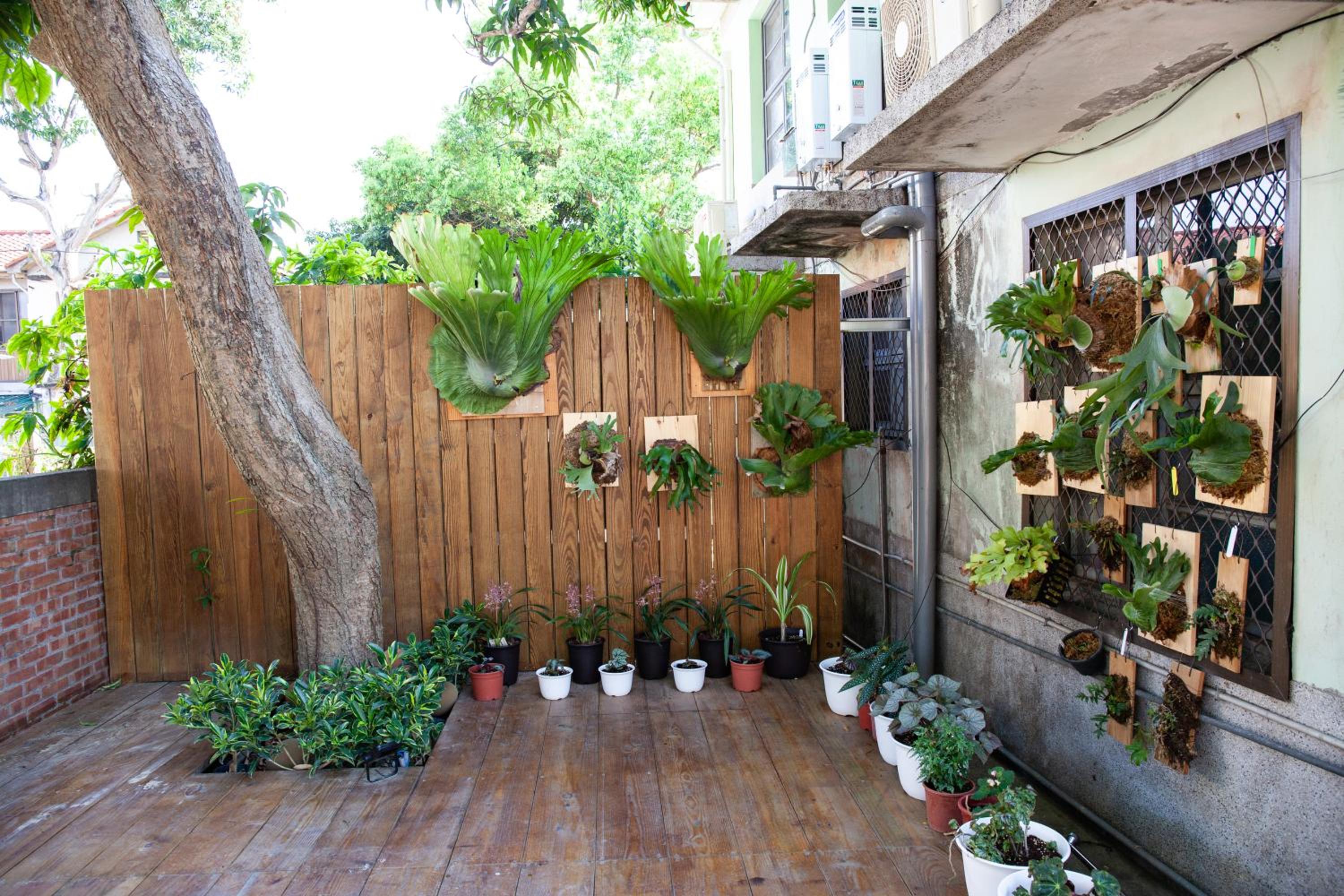Little Garden Dream Life Home, photo 43