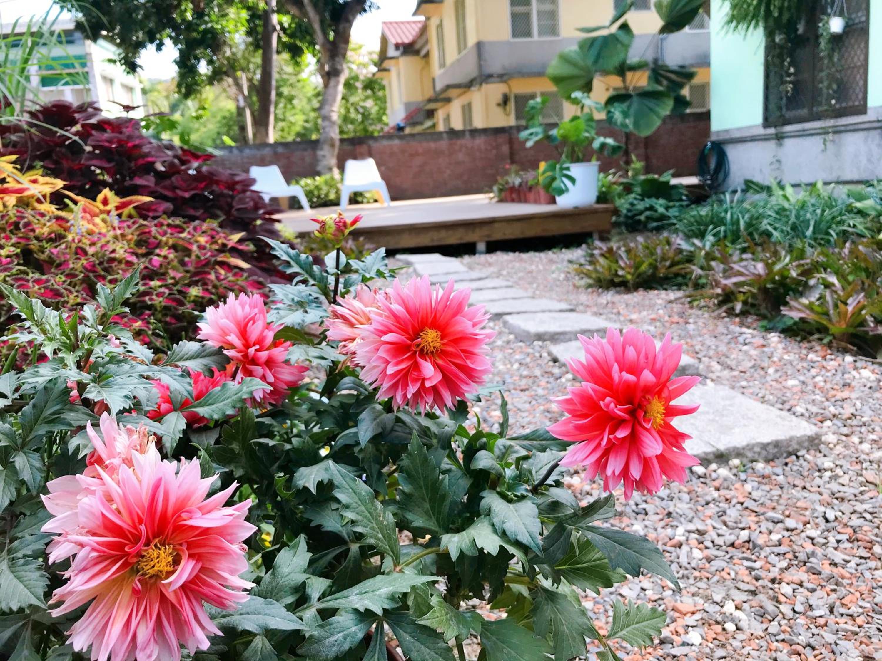 Little Garden Dream Life Home, photo 9