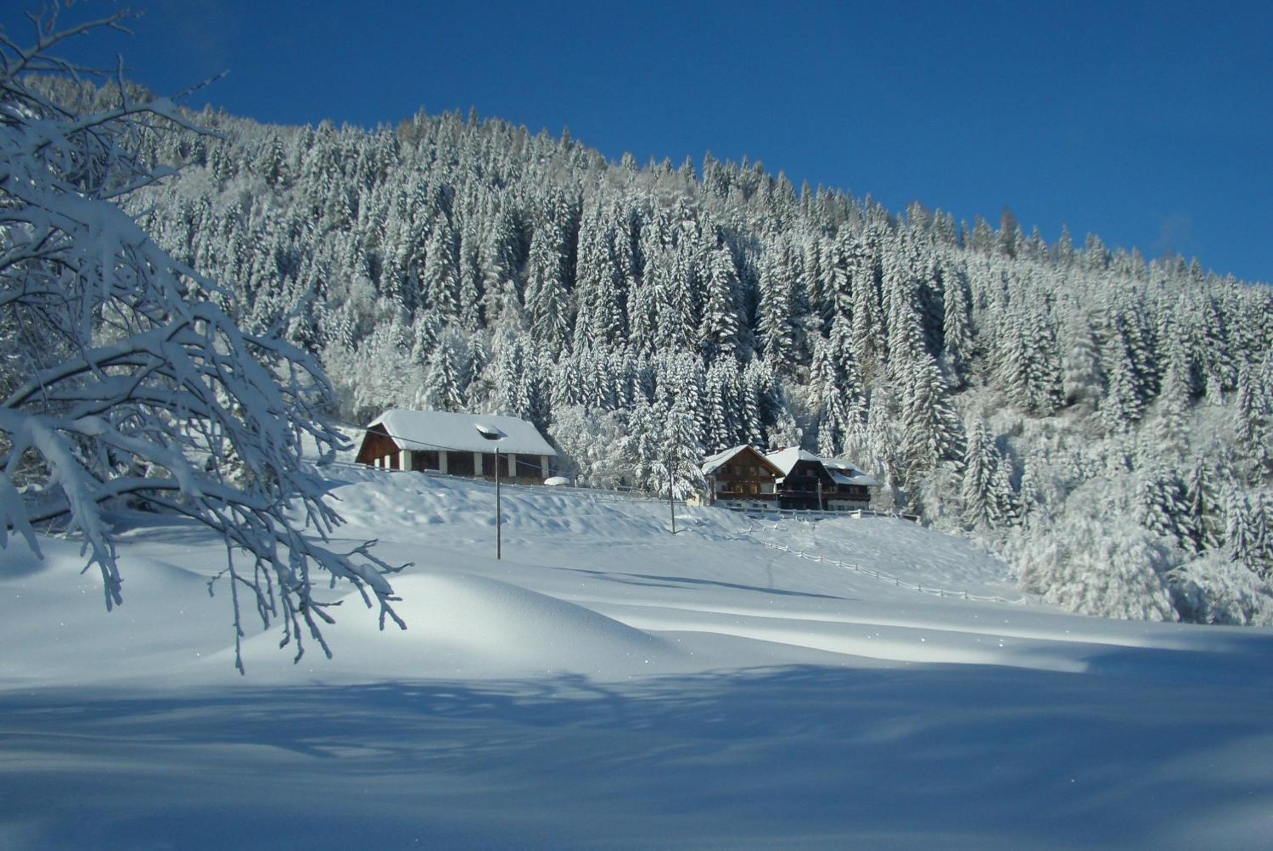 Gasthof Thurnerhof