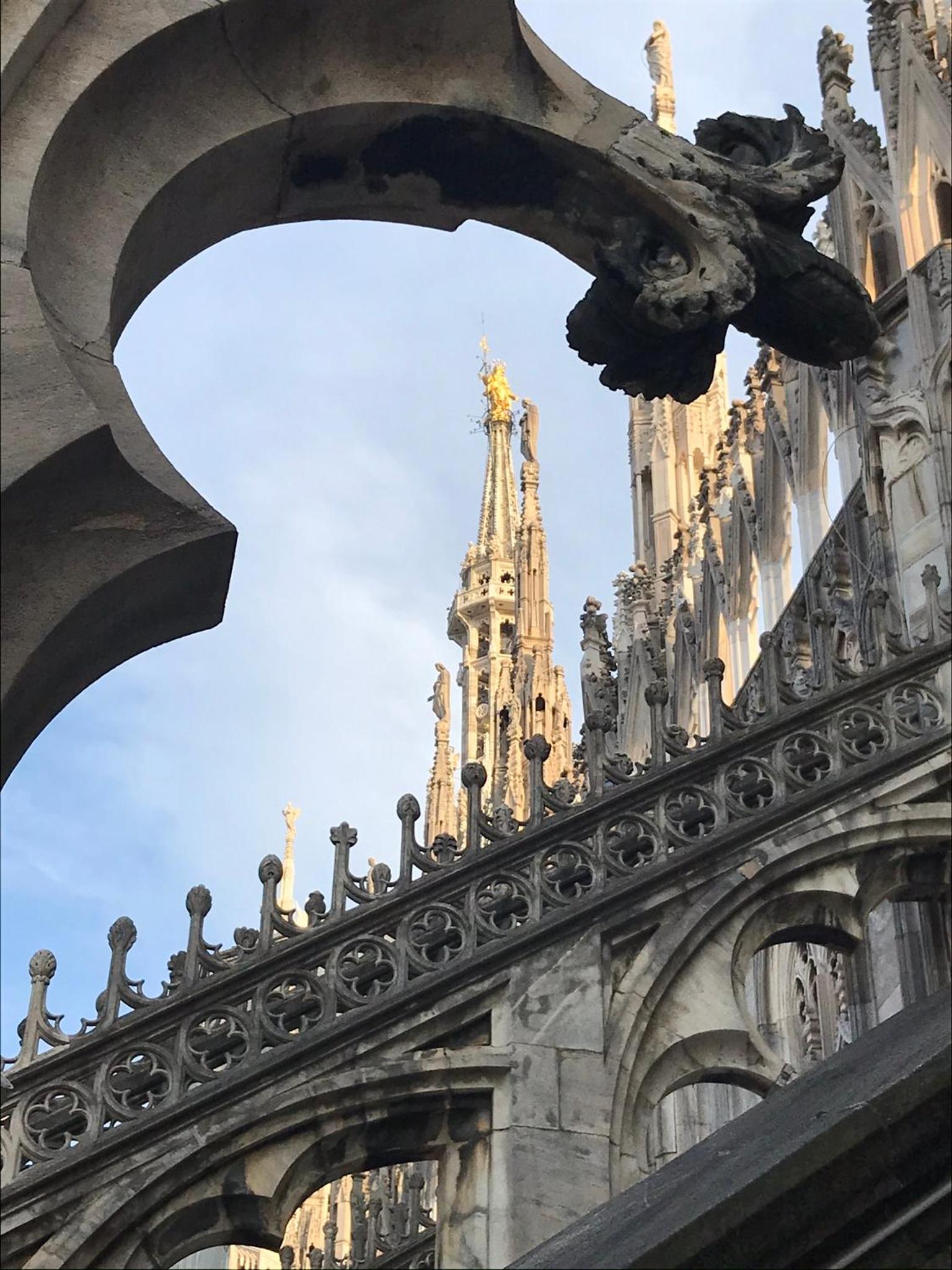 La Corte di Zizi