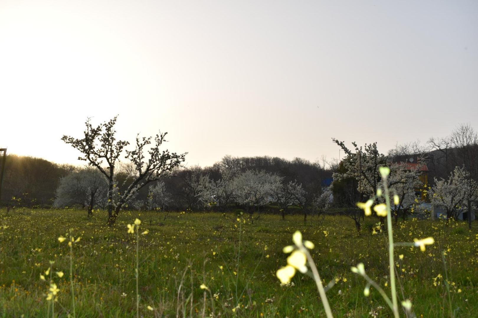CR familiar PrimaVera Jarandilla de la Vera