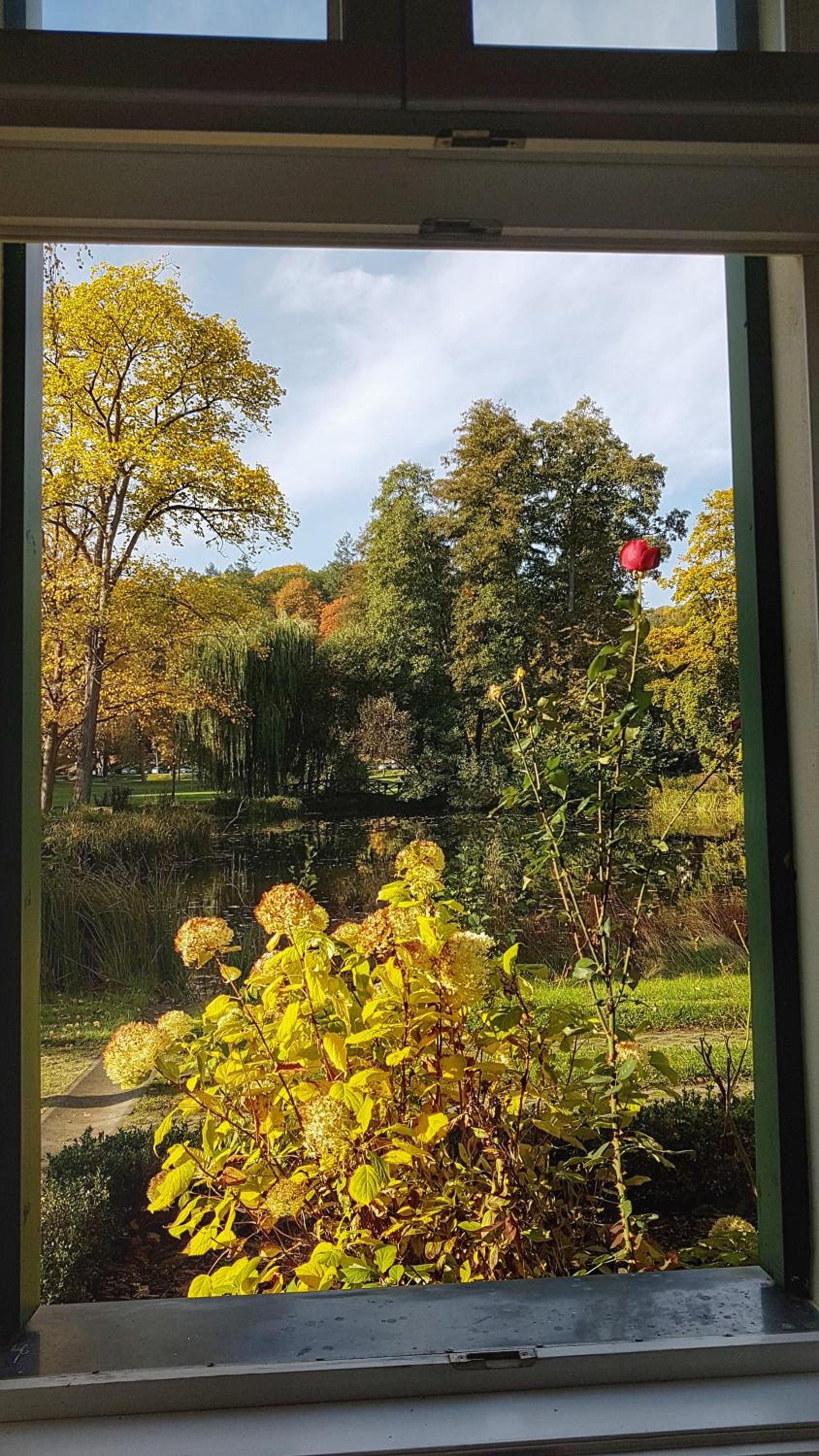 Ferienwohnung Papenmühle am Kurpark