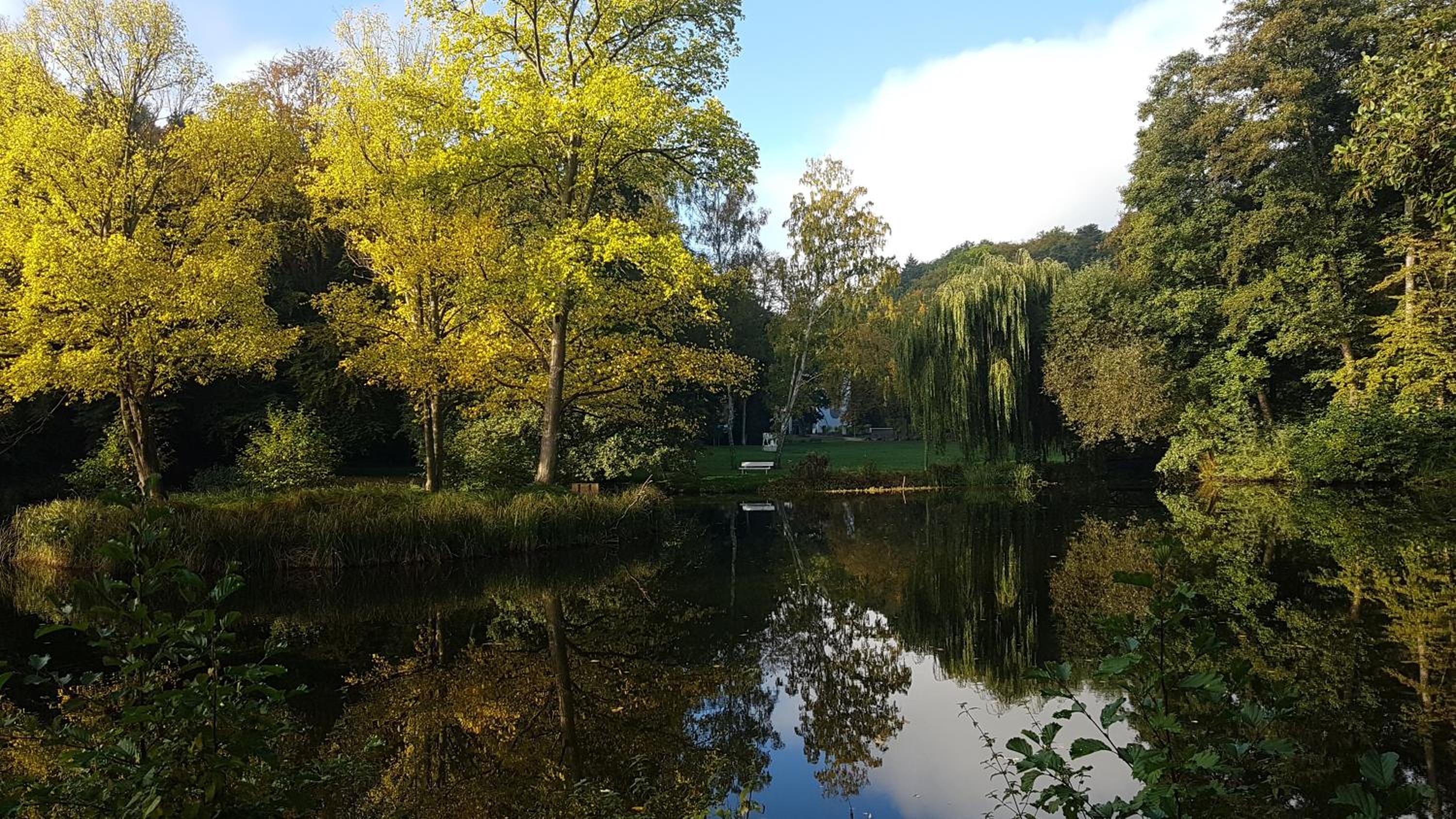 Ferienwohnung Papenmühle am Kurpark