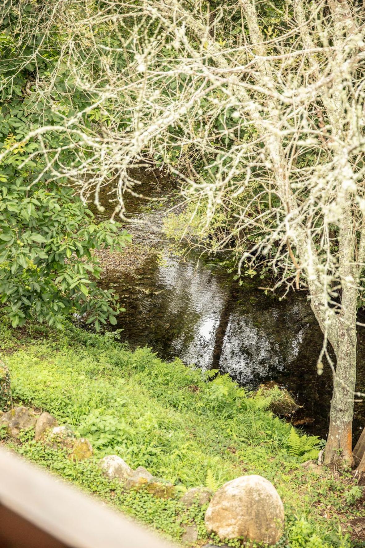 Lugar del Rio