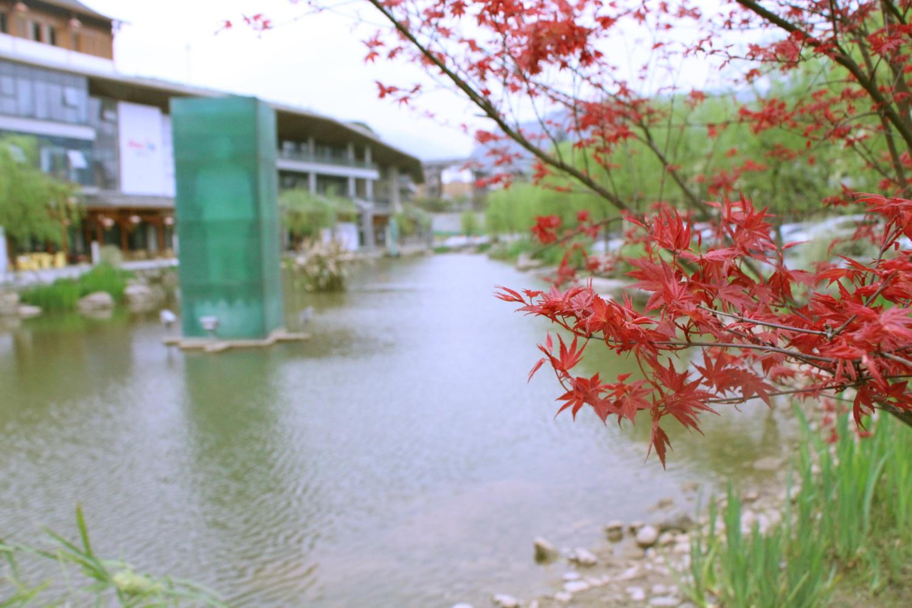 Holiday Inn Express Emei Mountain by IHG