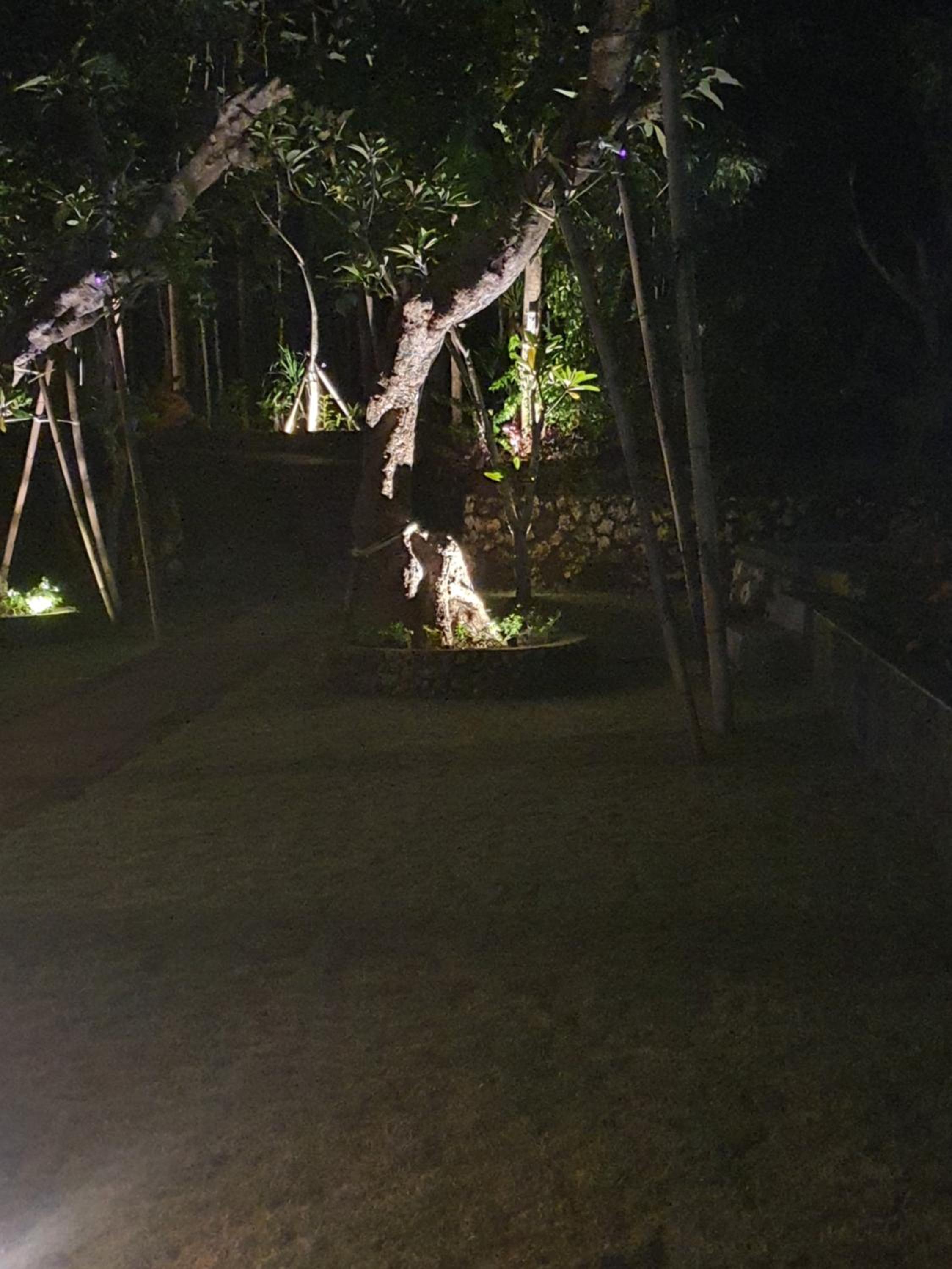 Medori Putih Homestay