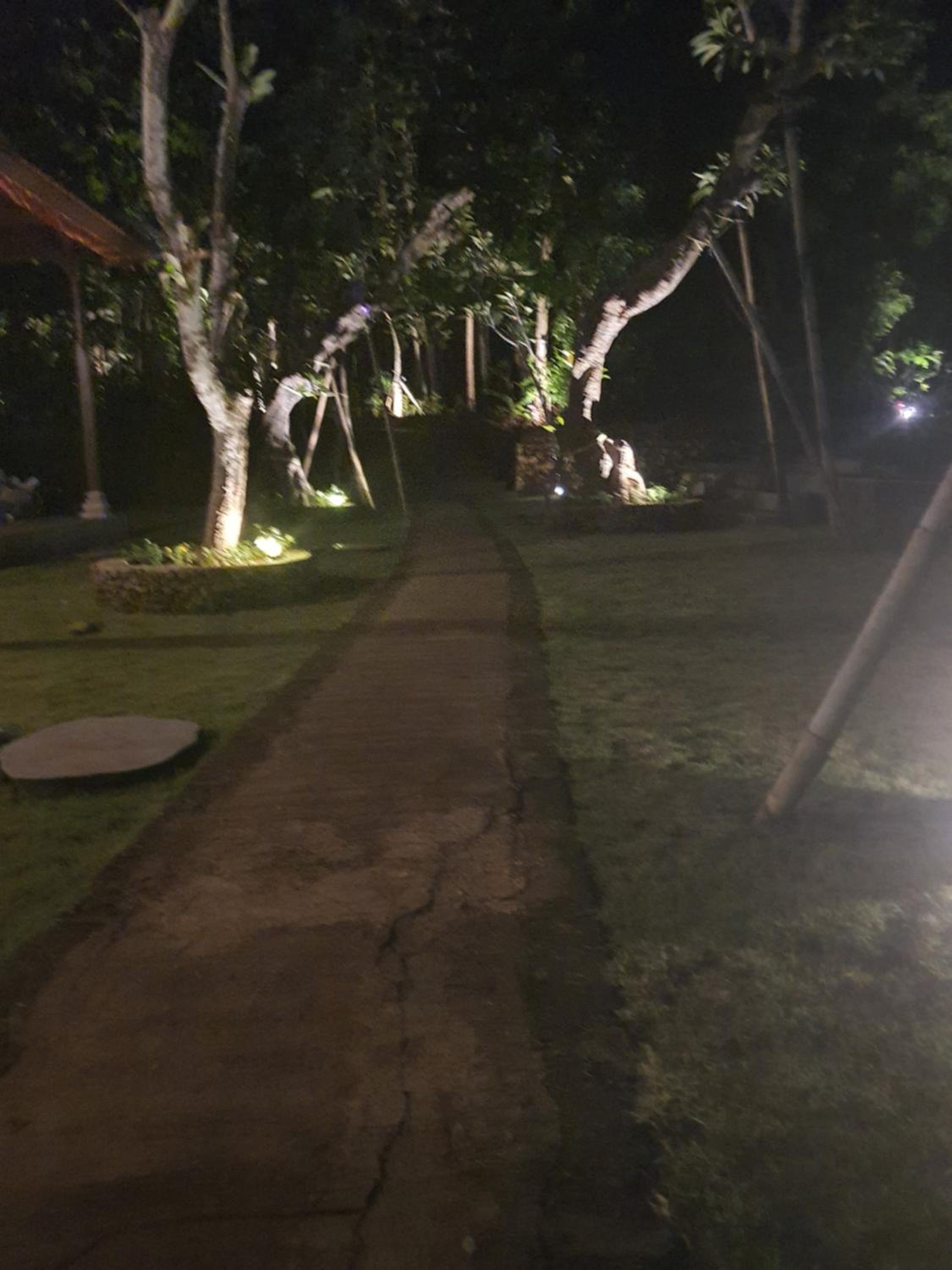 Medori Putih Homestay