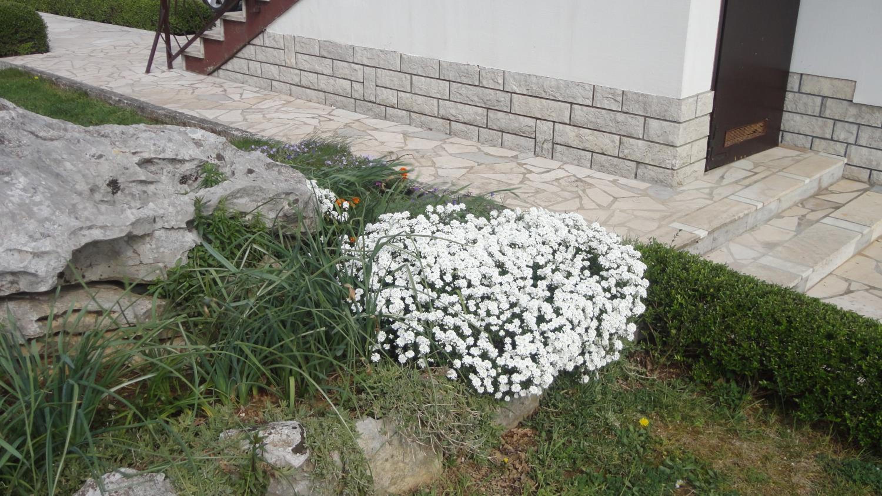 Apartment Fabris