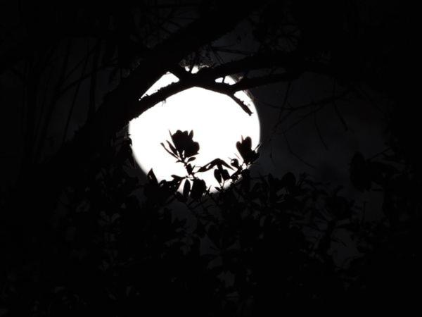 Eco-Cabanas Altozano Nimaima - Property Image 92