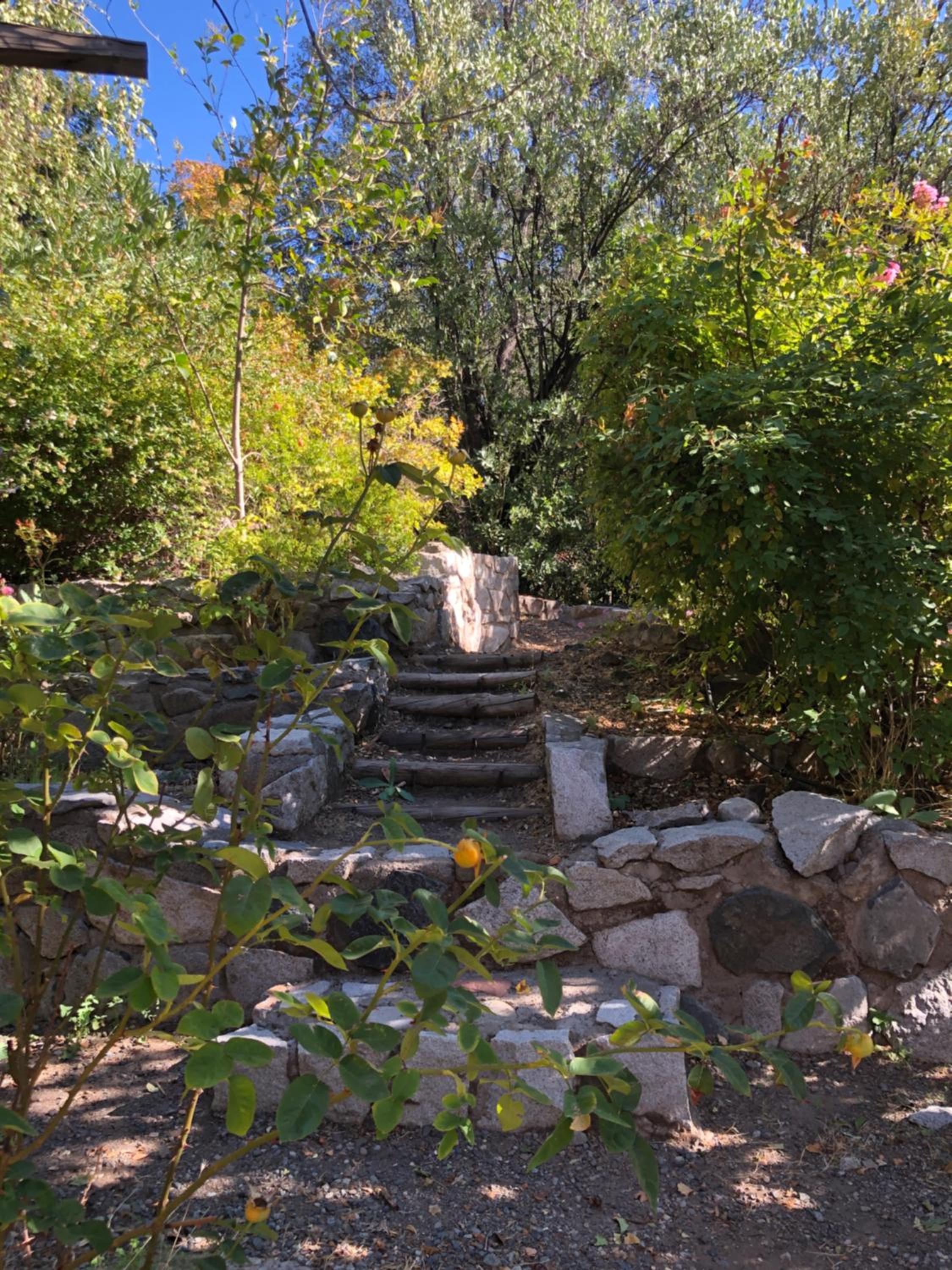 Casa de Montaña inmersa en Bosque Nativo