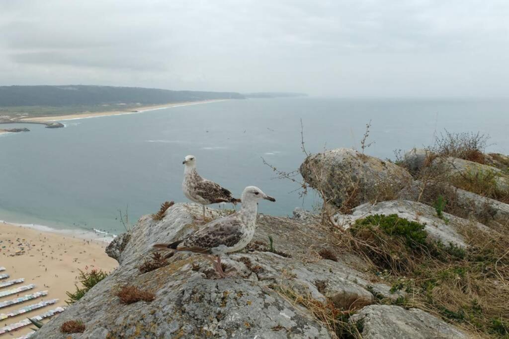 Gino´s House view 5