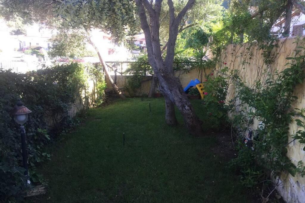 Photo 32