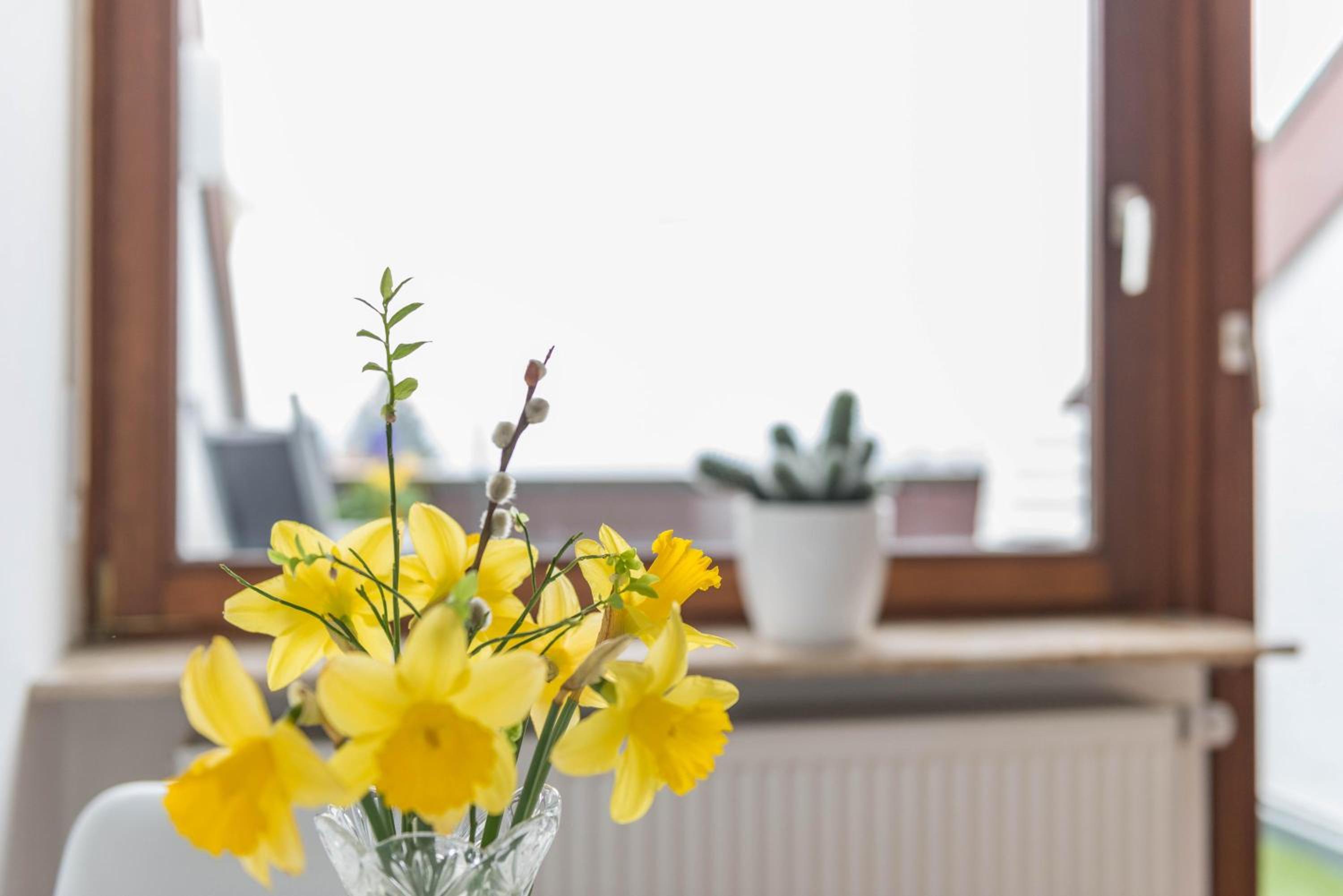 Ferienwohnung Maria Feucht view 4
