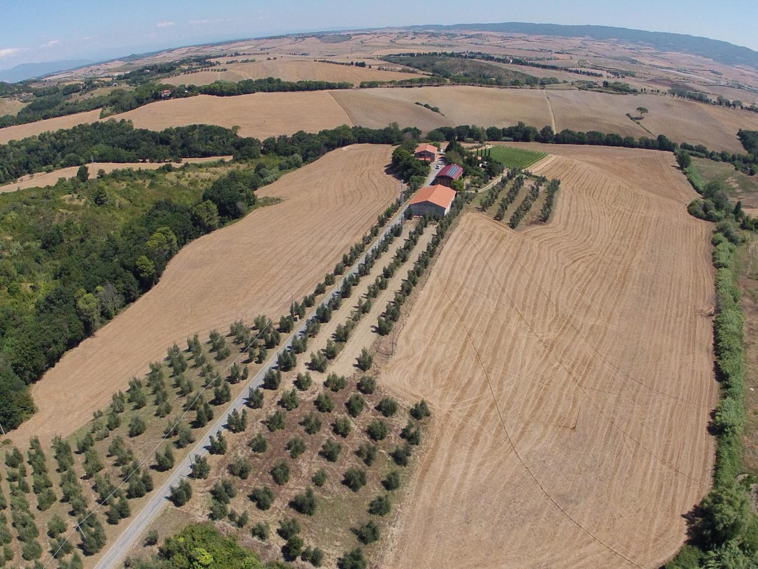 Agriturismo Cappellese