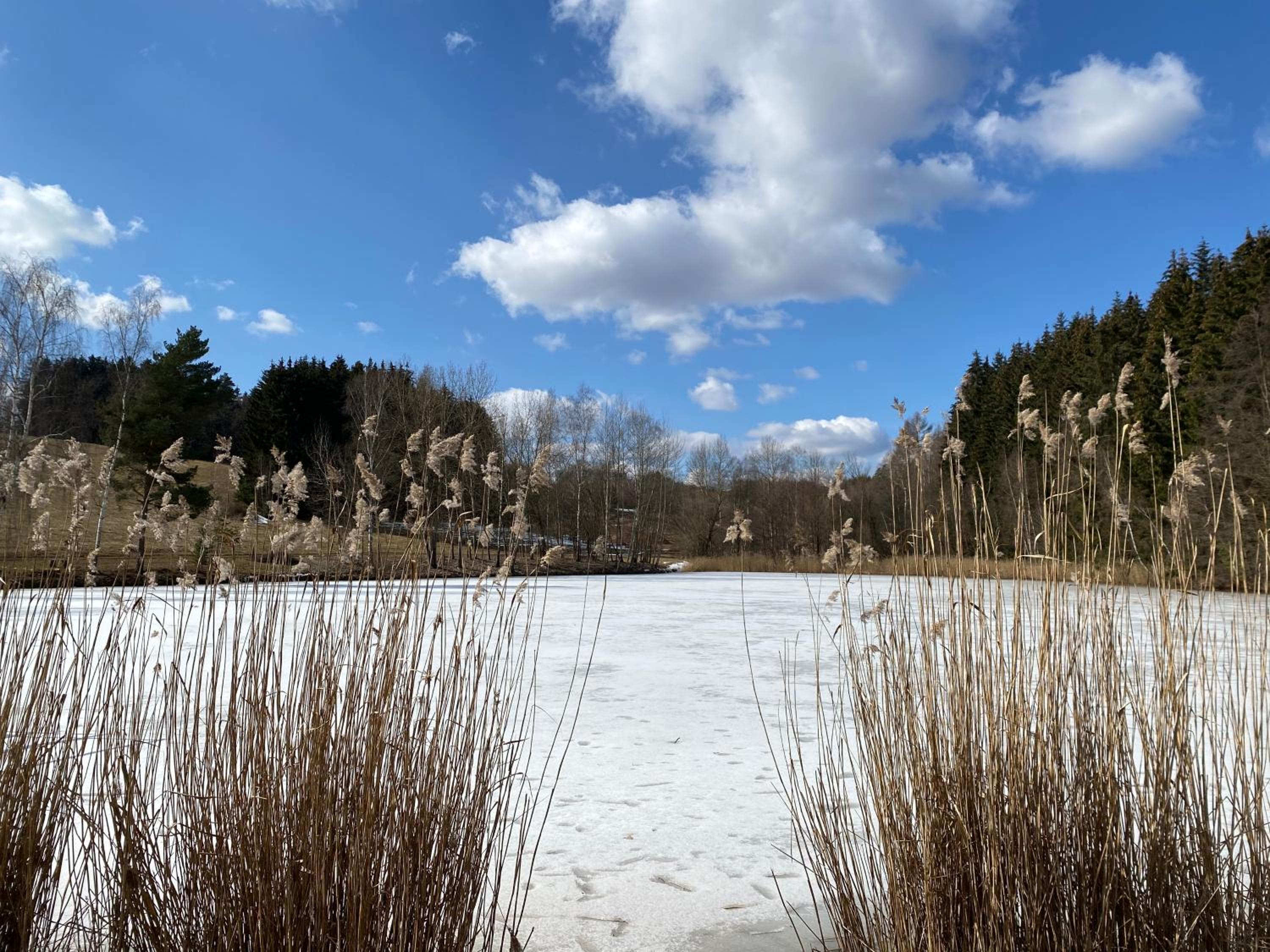 SG chalupa ŠTIKOV - Podkrkonoší - s celoročním privátním wellness