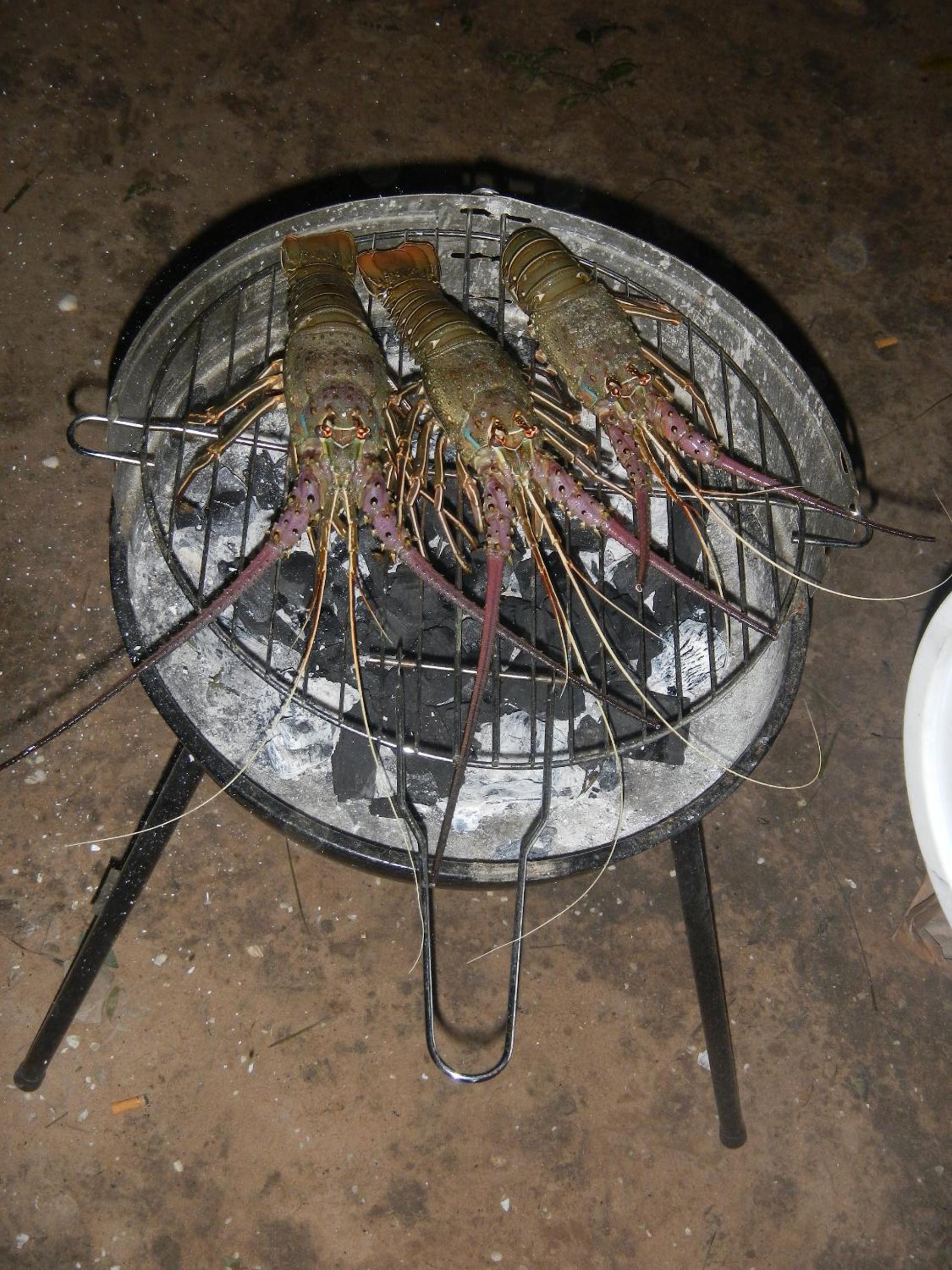 Kansala Ta Toto view 3