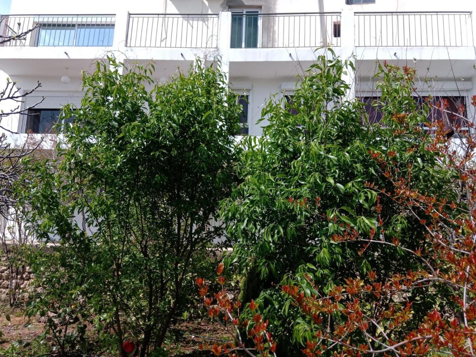 Appart Hôtel Signature