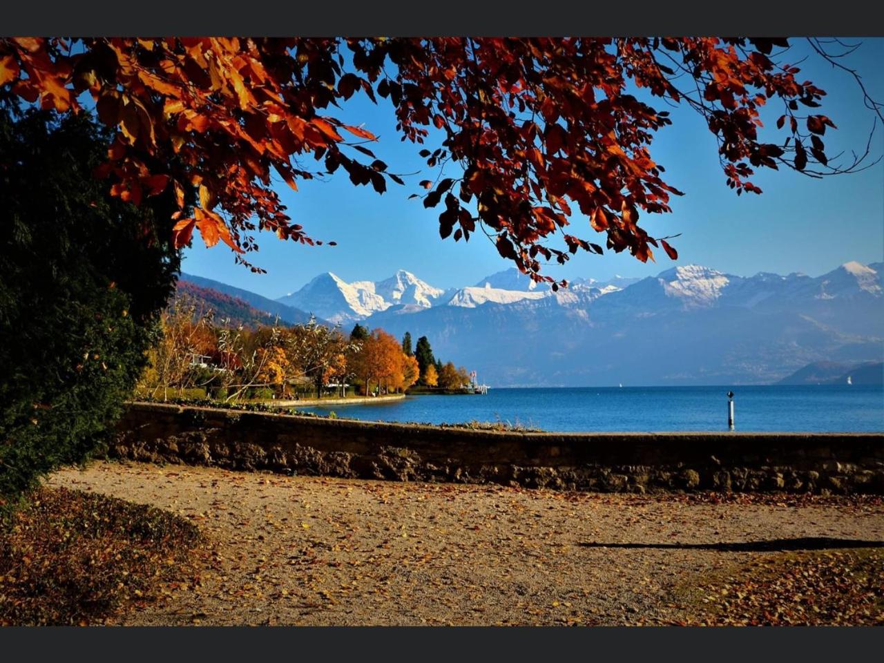 Lakeviewhouse