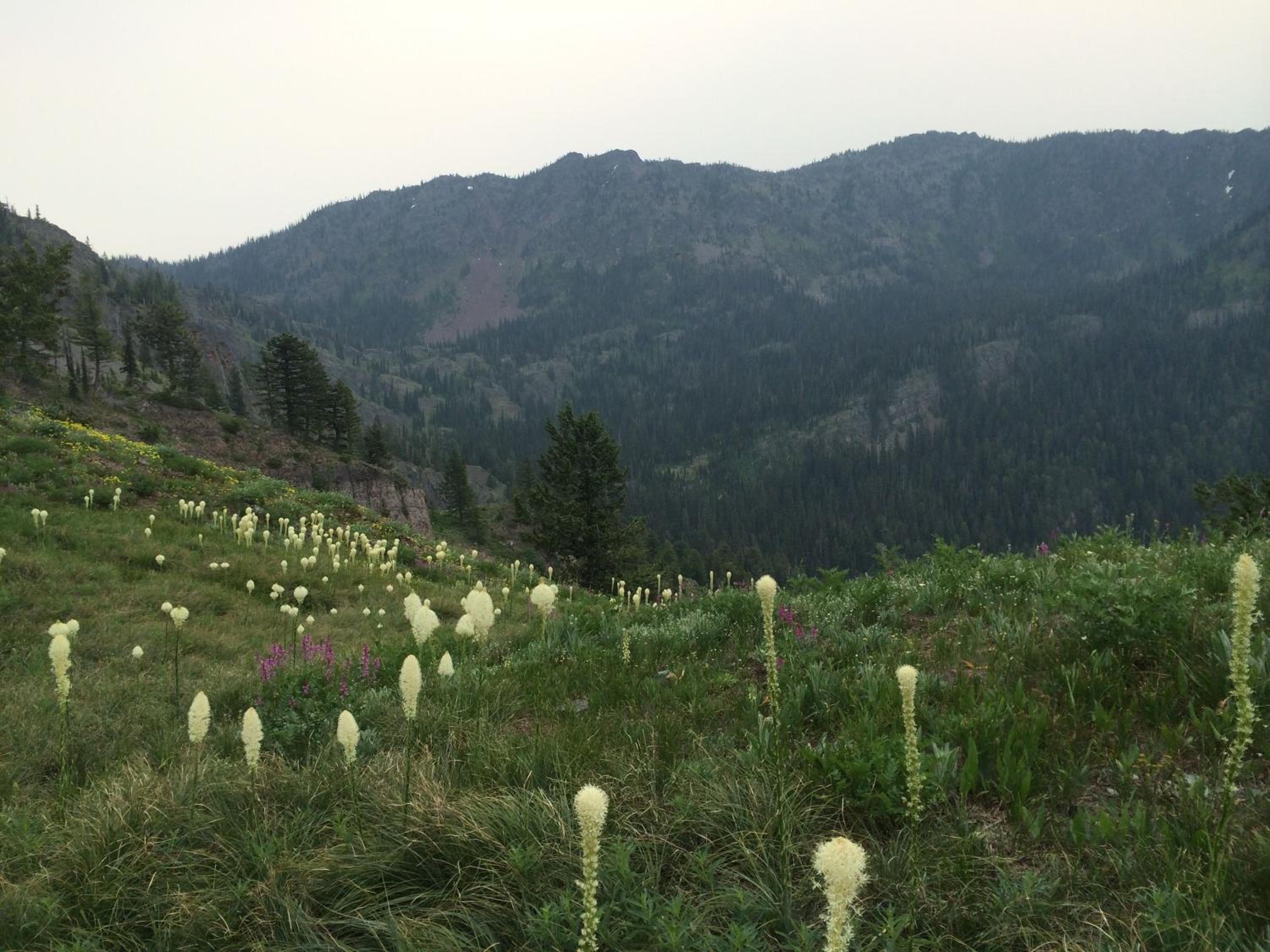 Photo 28