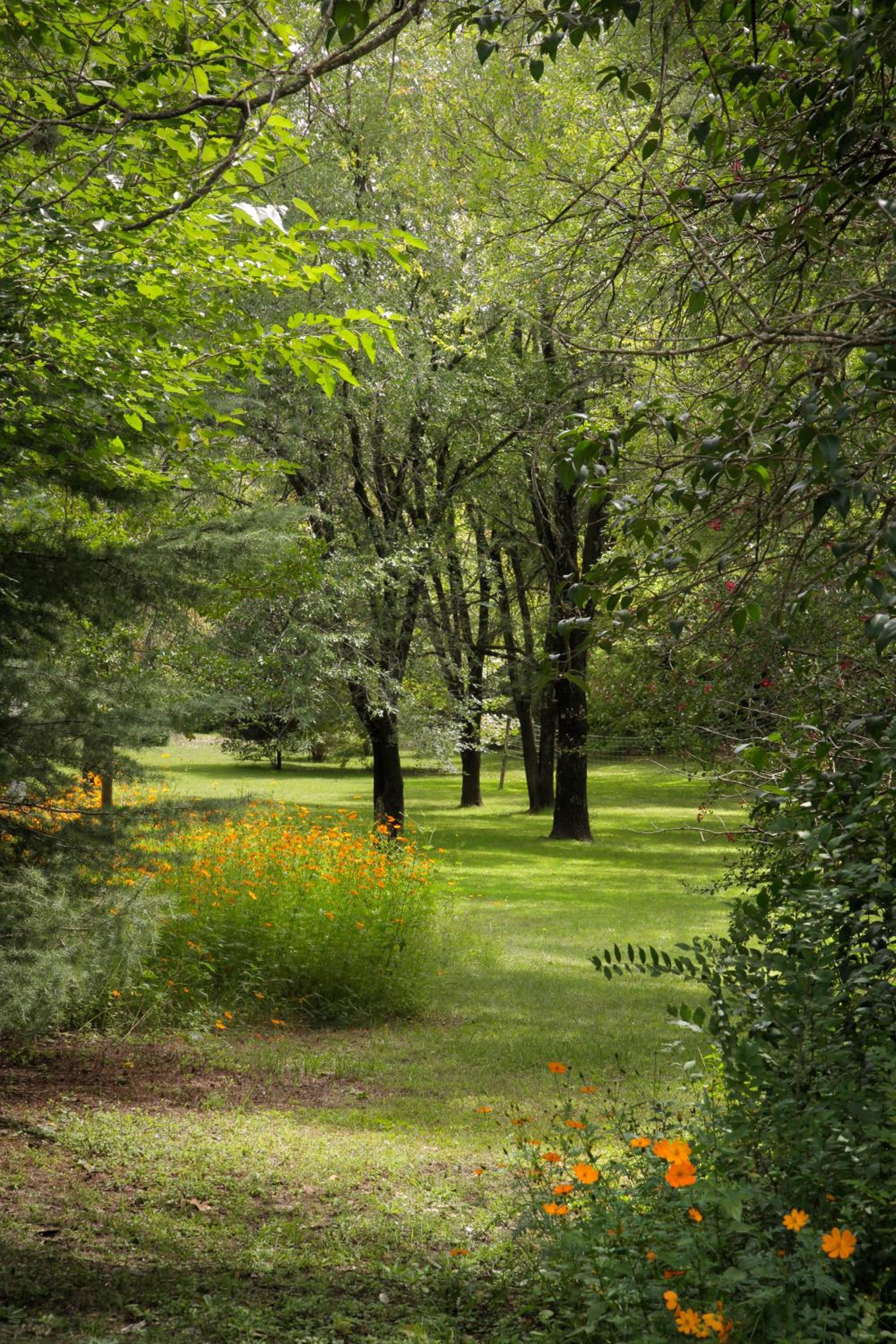 Cabañas Am Bach
