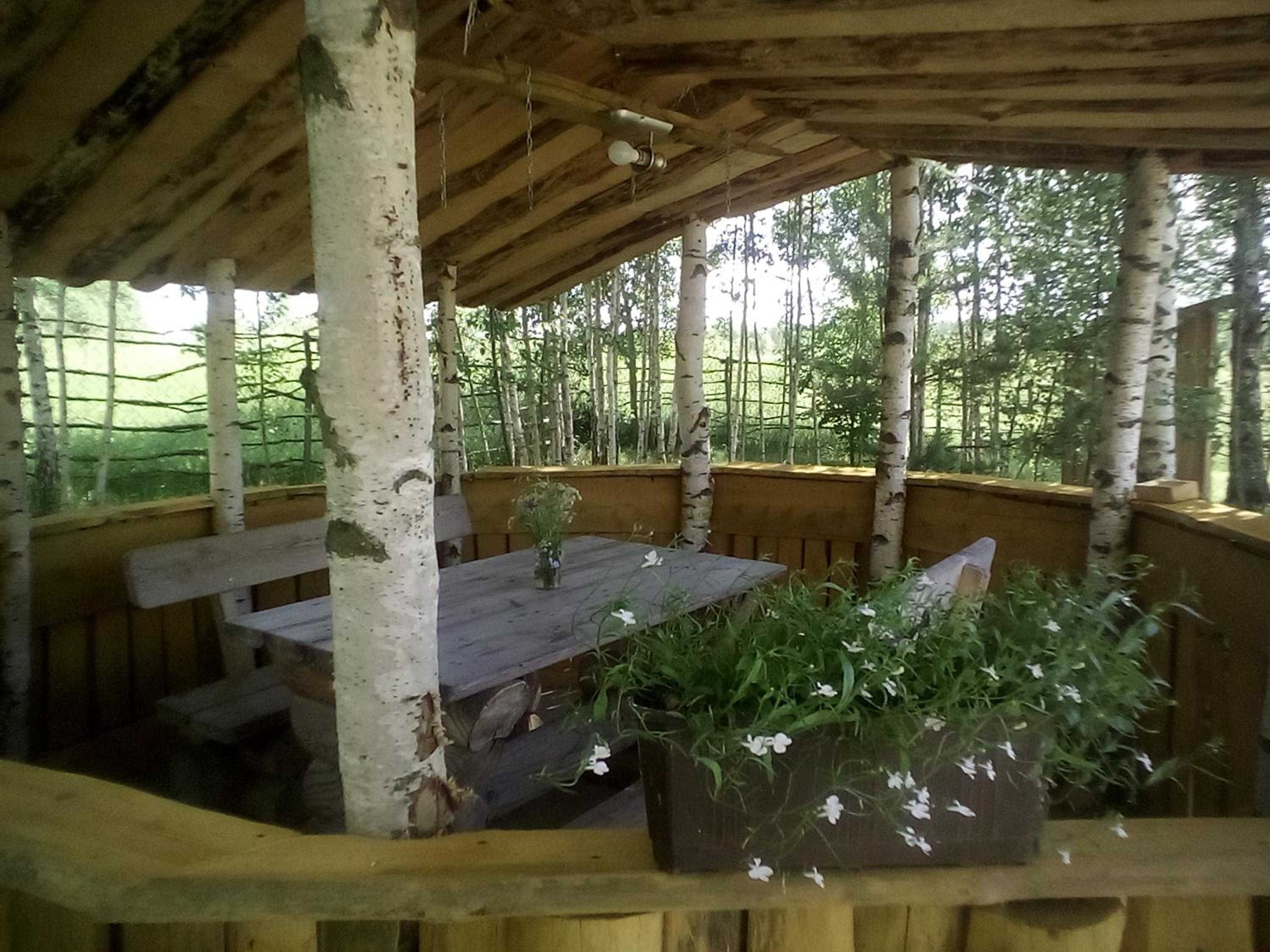 Photo 12