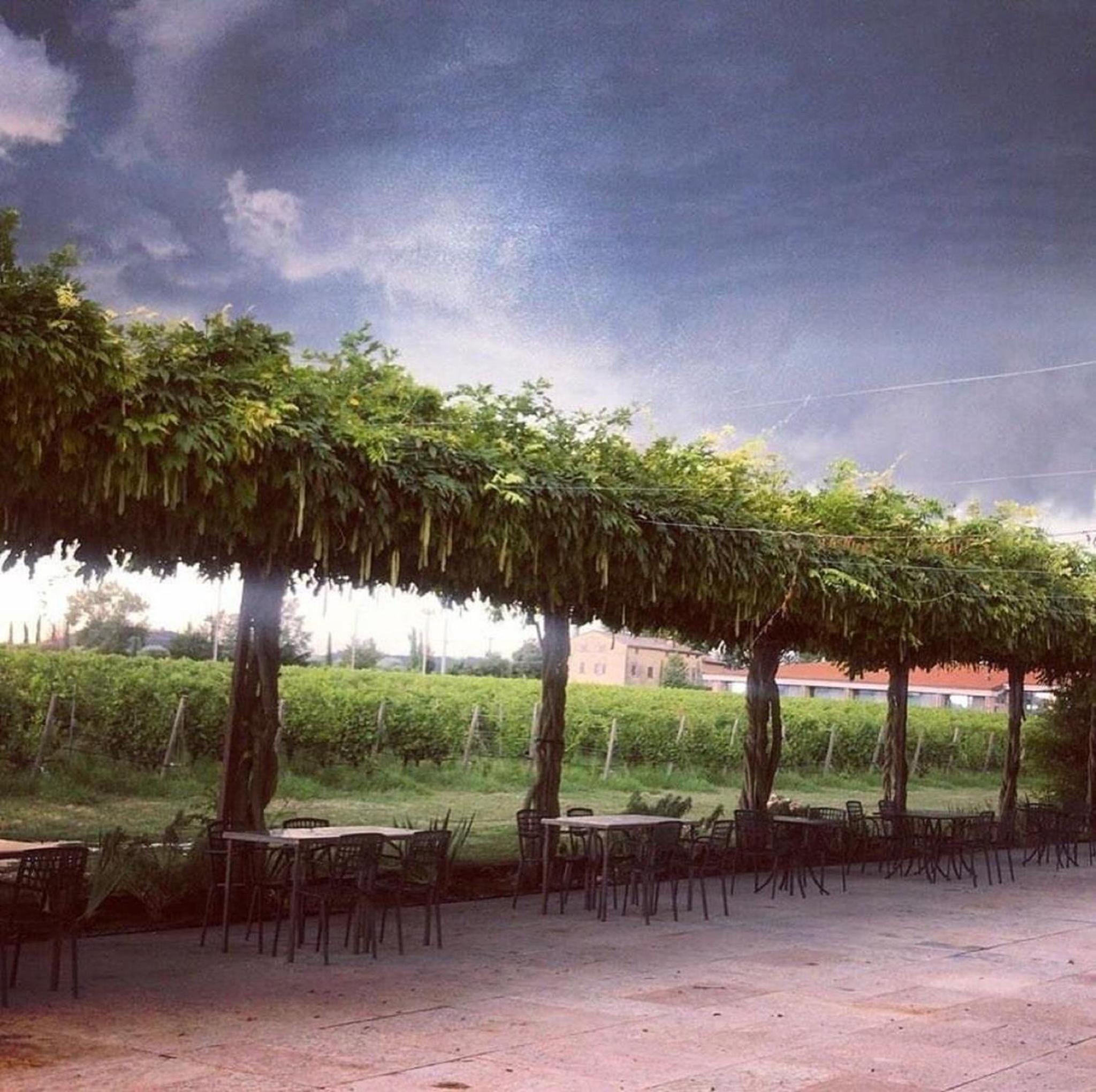 Dimora Buglioni Wine Relais, photo 70