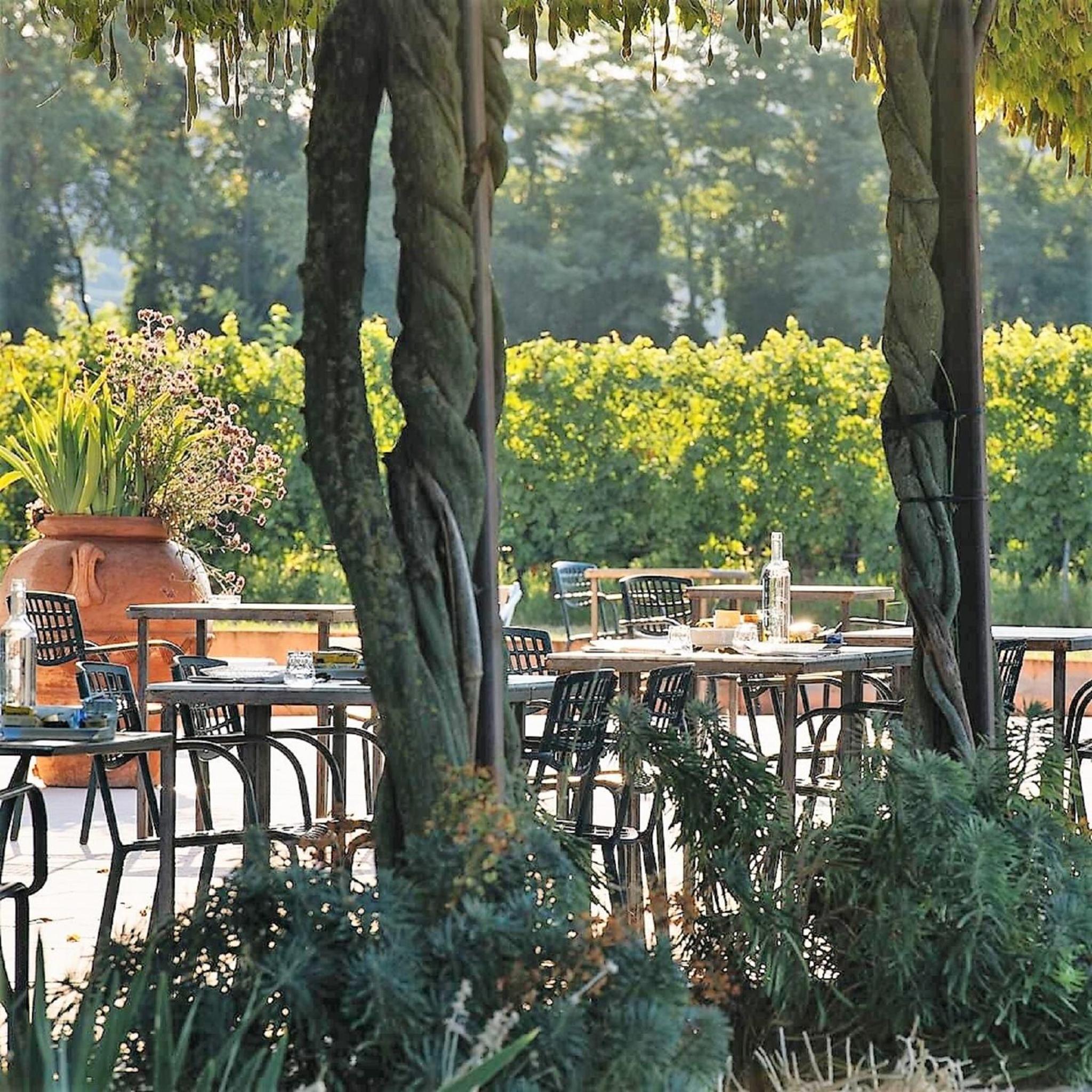 Dimora Buglioni Wine Relais, photo 17