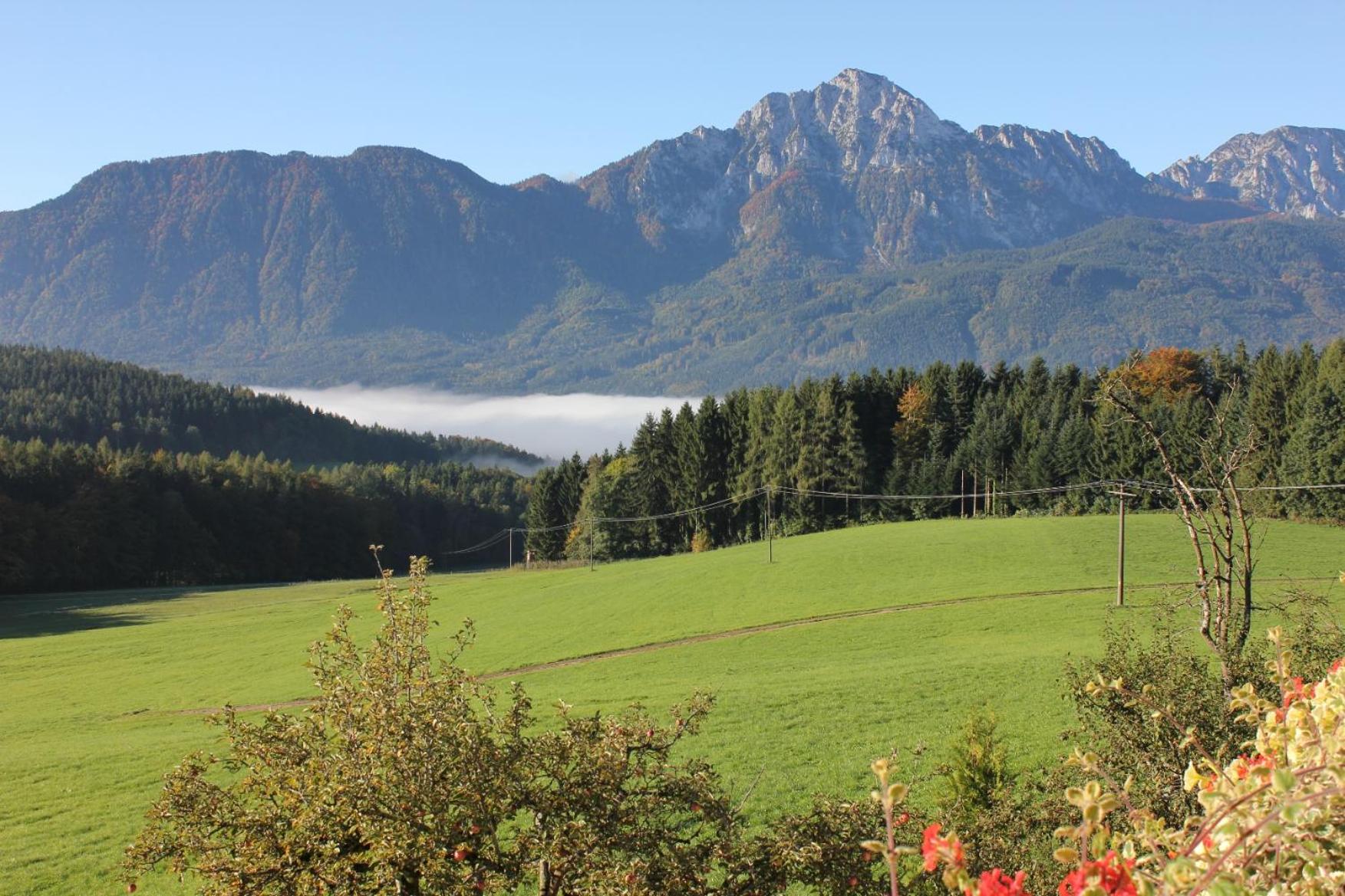 Hainbuchhof
