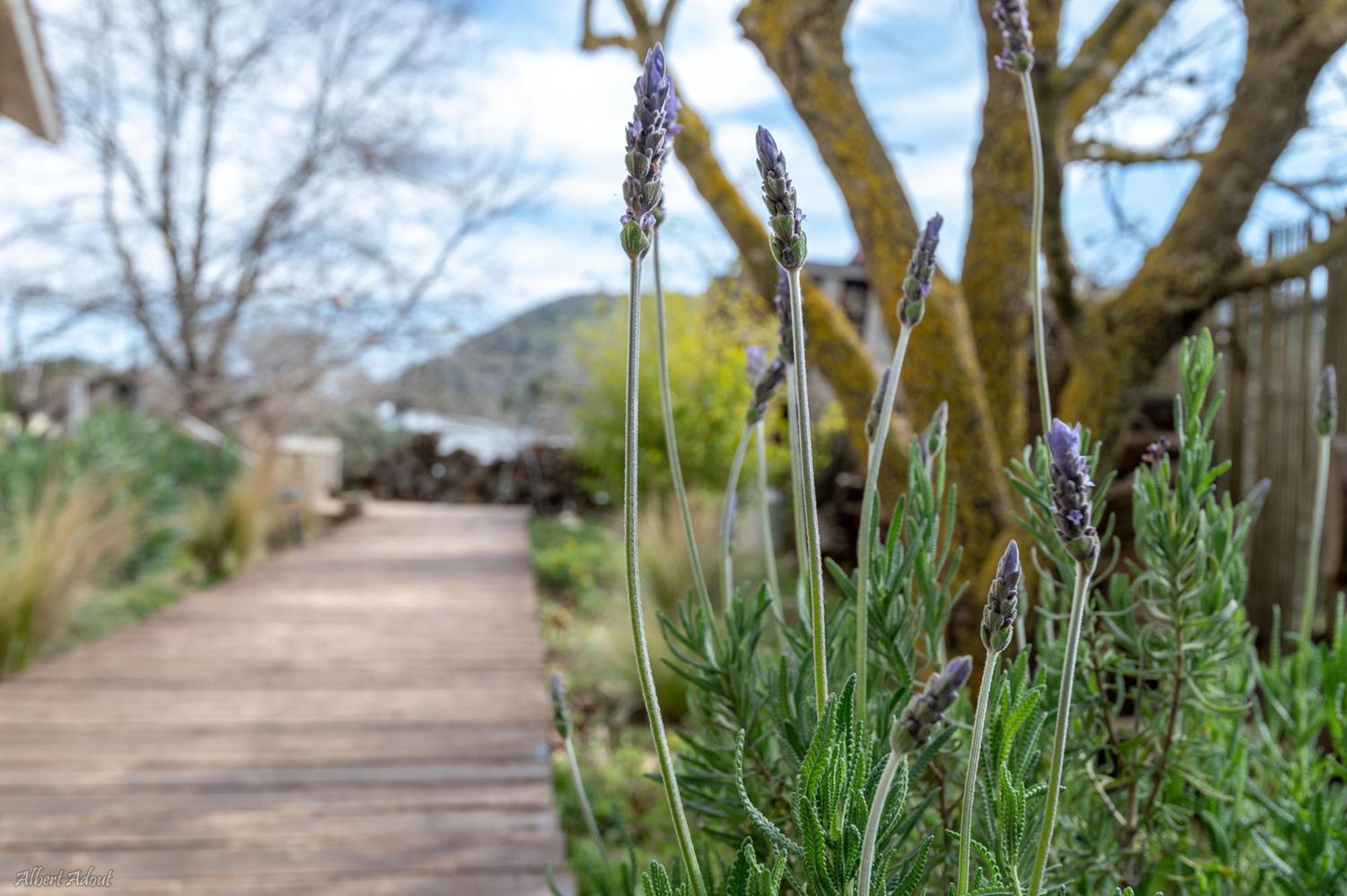 Photo 115