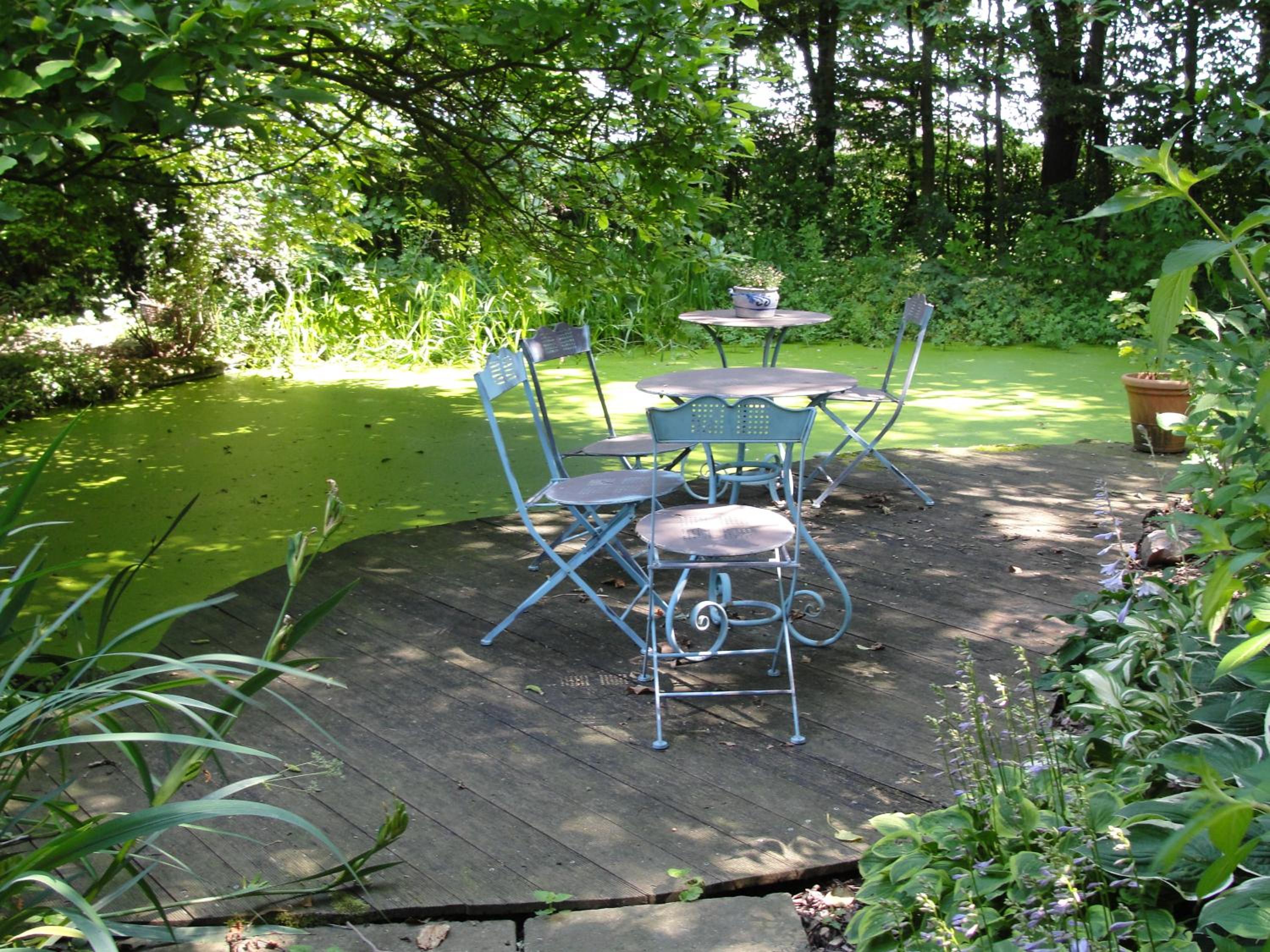 B&B Hedera