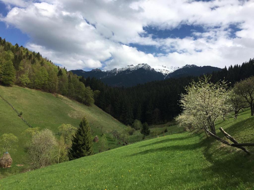 Photo 30
