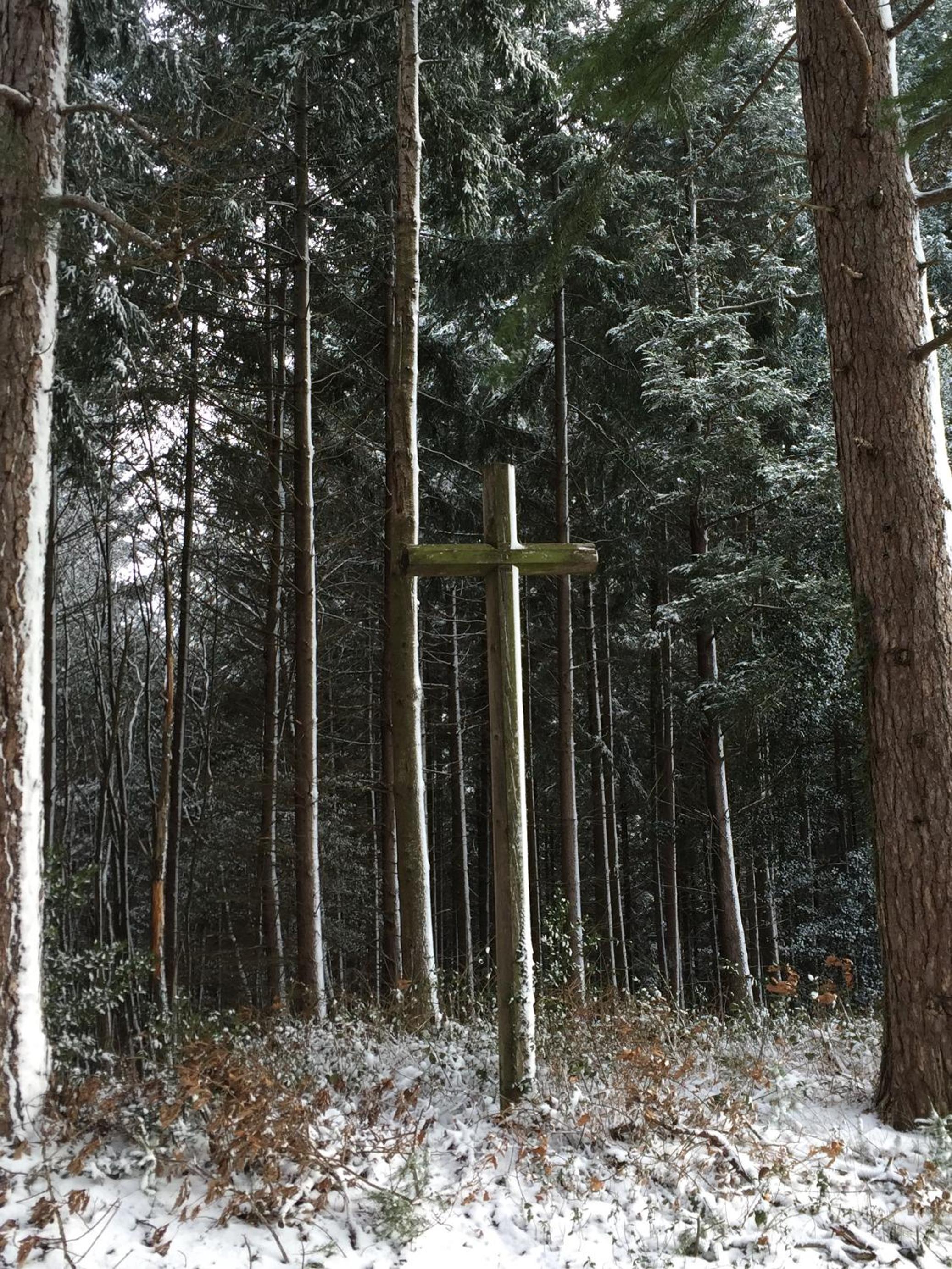 Photo 35