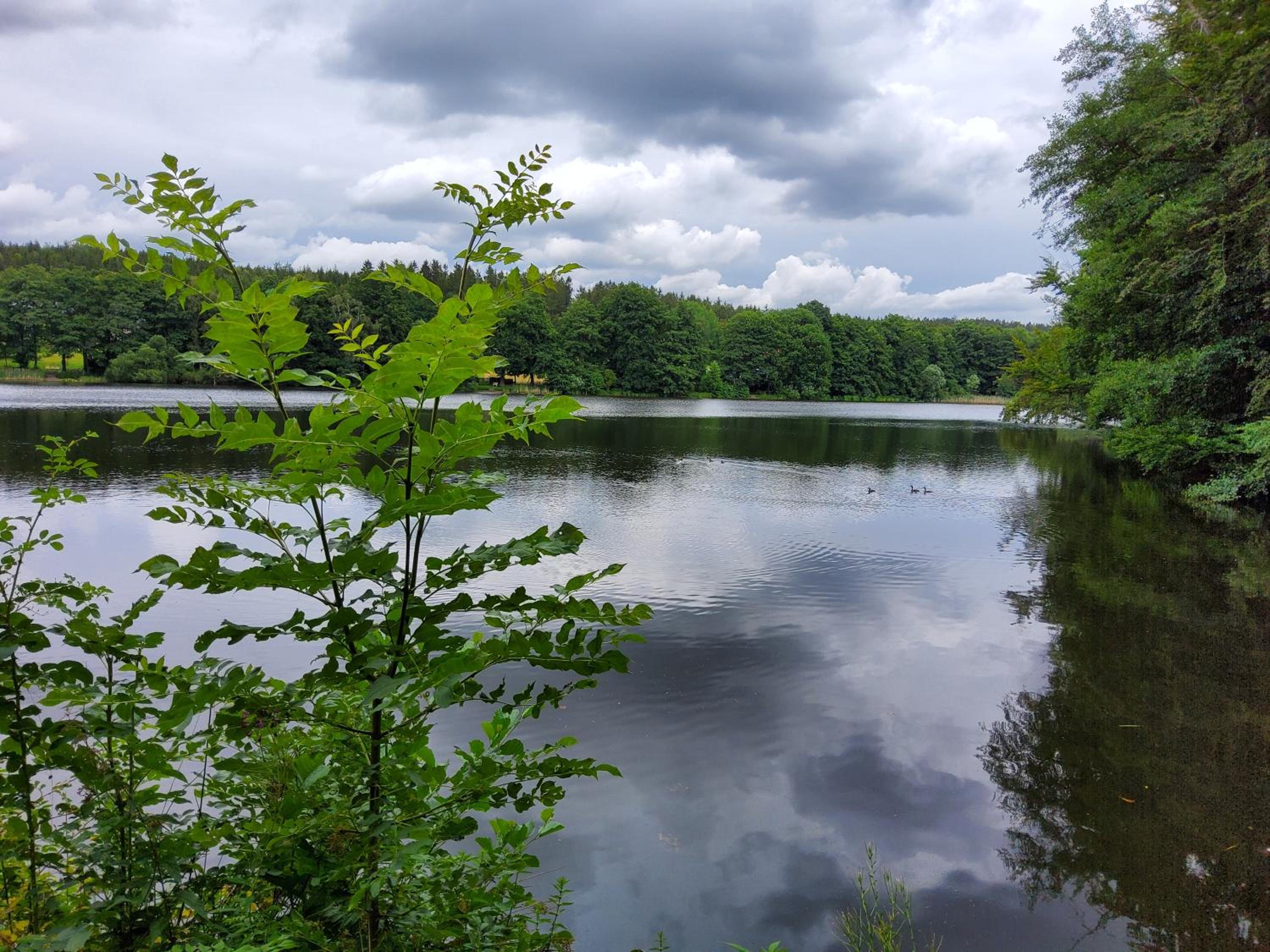 FeWo am Pochwerk-Badeteich - Property Image 16